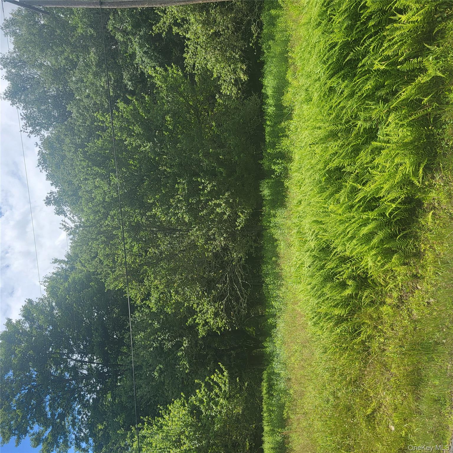 ** Creamery Road, Mongaup Valley, NY 12720