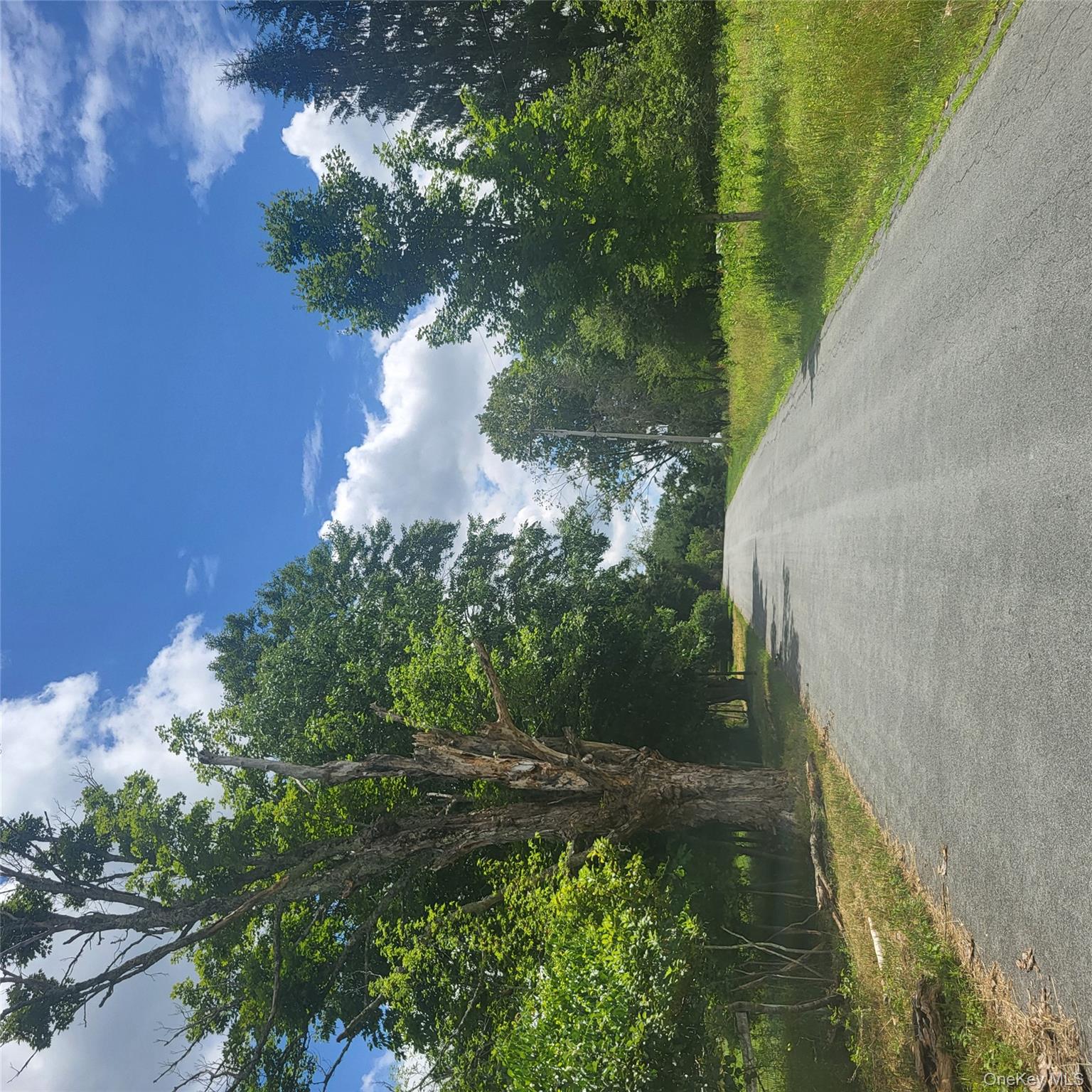 ** Creamery Road, Mongaup Valley, NY 12720