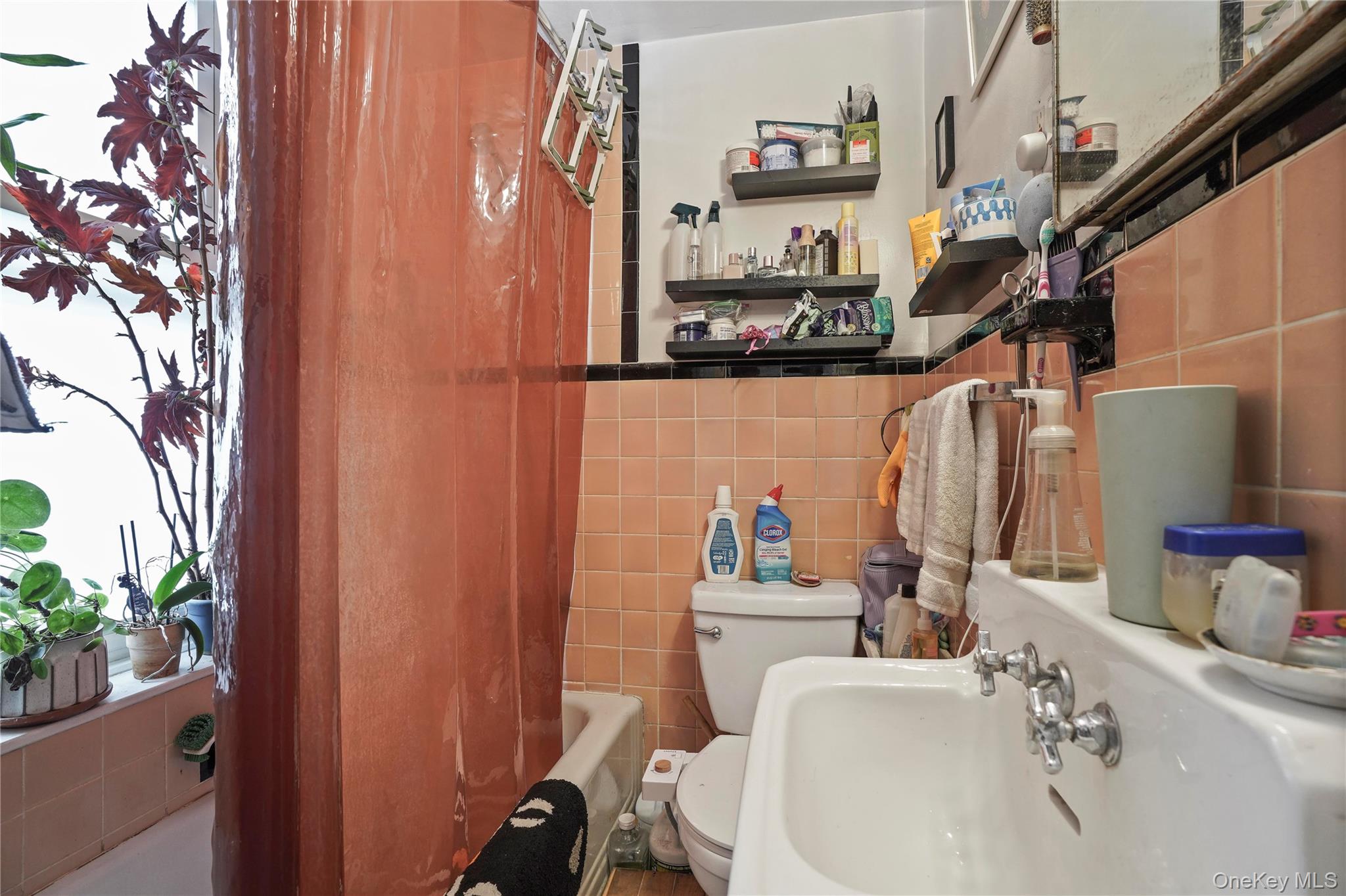 6046 Putnam Avenue, Ridgewood, NY 11385