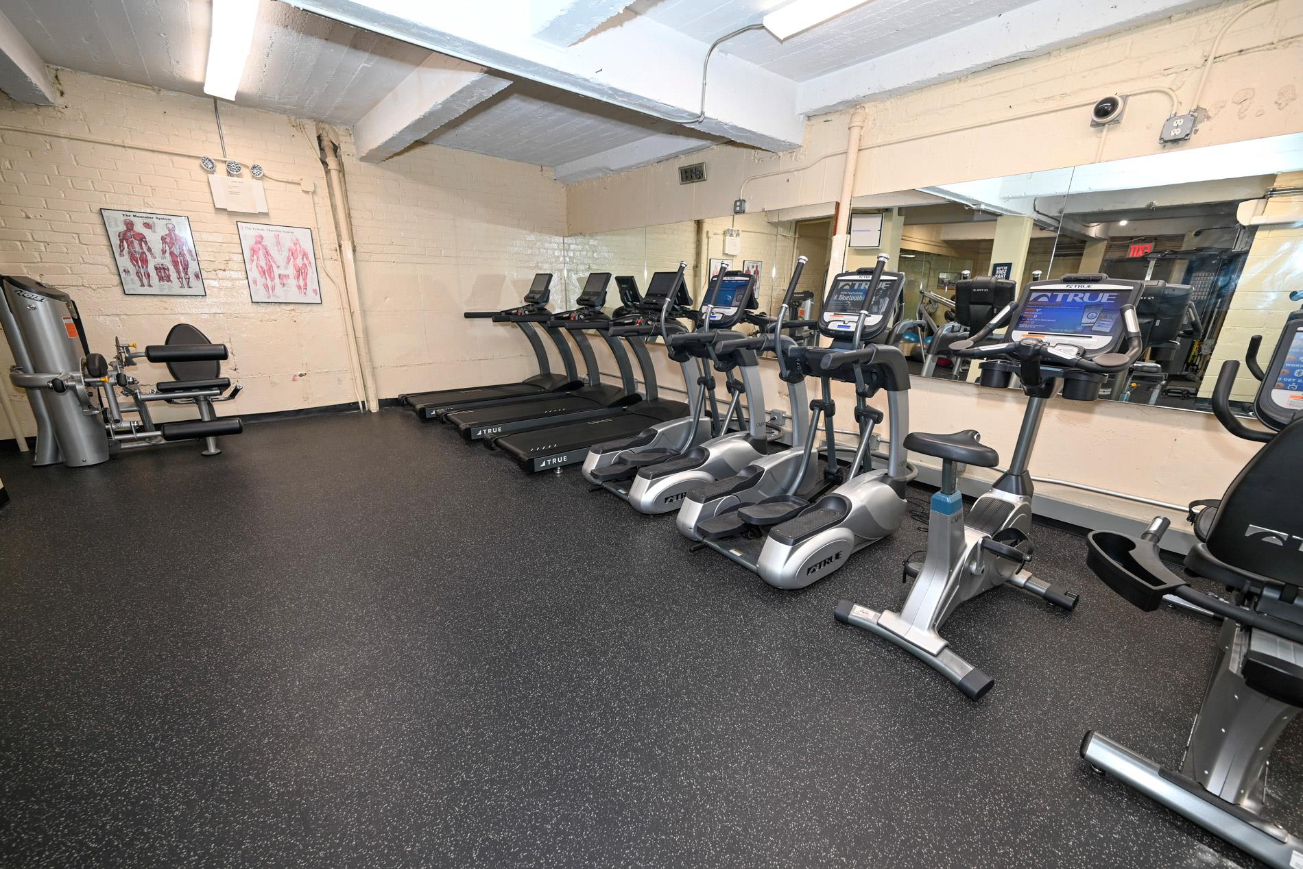 84-01 Main St # 410, Briarwood, NY 11435