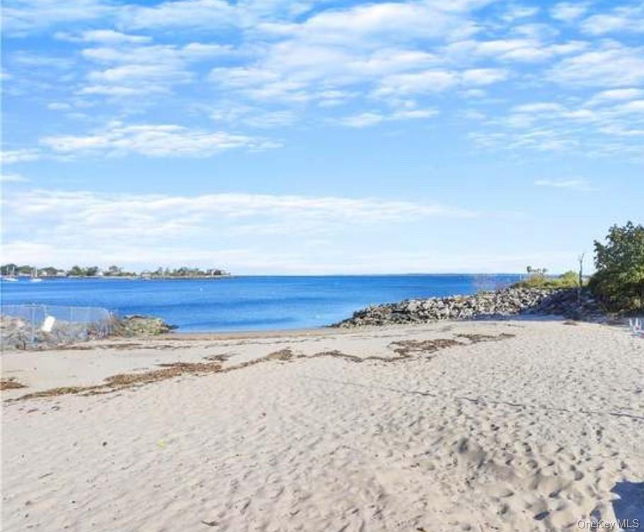 30 DAVENPORT Avenue # 1B, New Rochelle, NY 10805