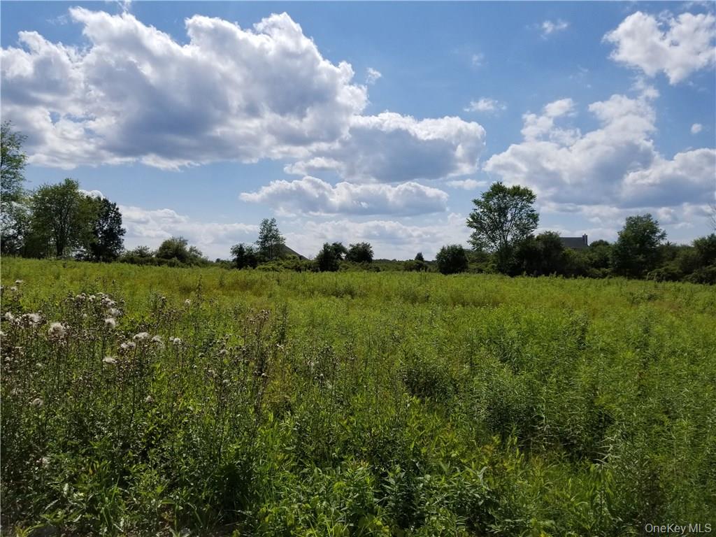 0 Route 55, Lagrangeville, NY 12540