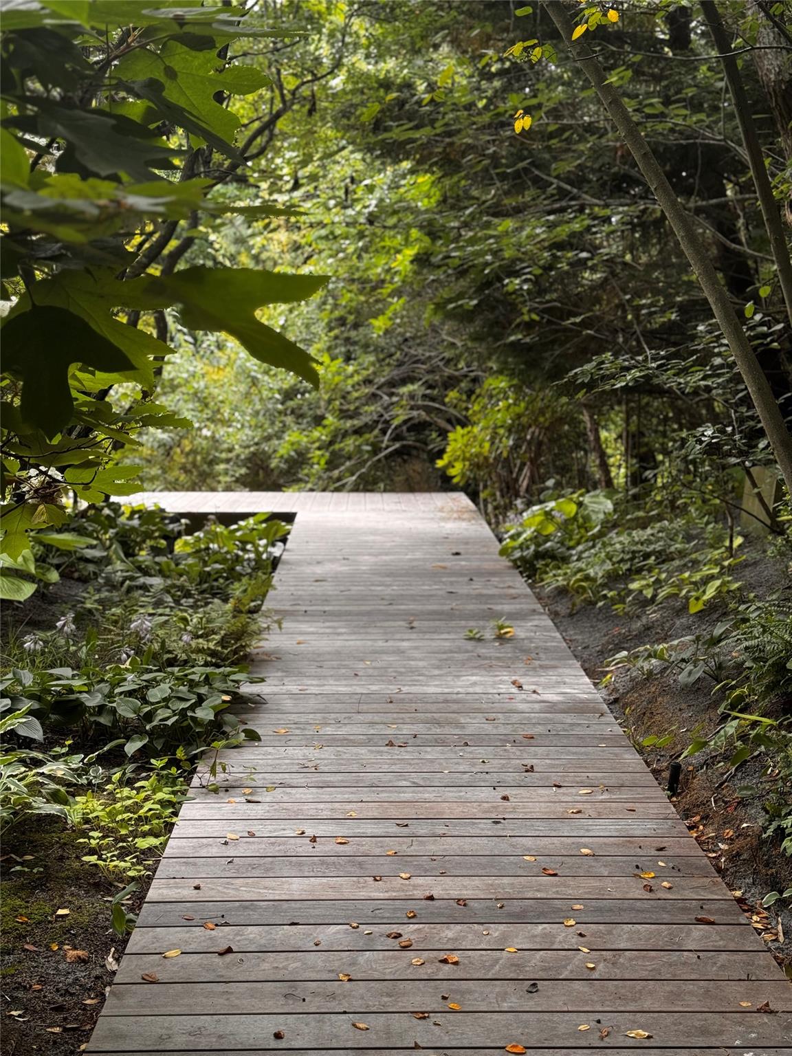 487 Tarpon Walk, Fire Island Pines, NY 11782