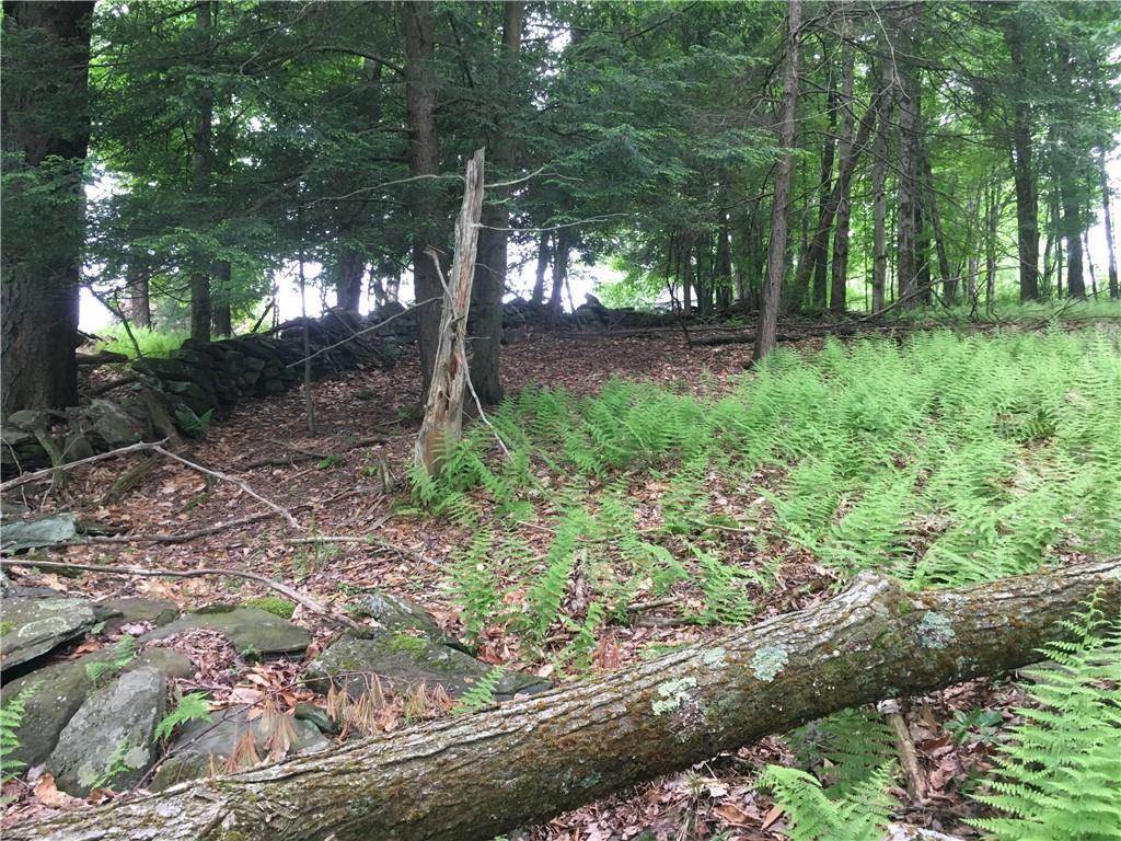 10.7 & 10.9 Cty Hwy 141 Horseshoe Lake RD, Bethel, NY 12720