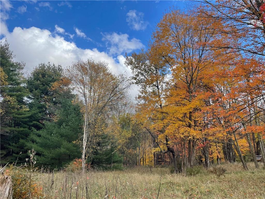 10.7 & 10.9 Cty Hwy 141 Horseshoe Lake RD, Bethel, NY 12720