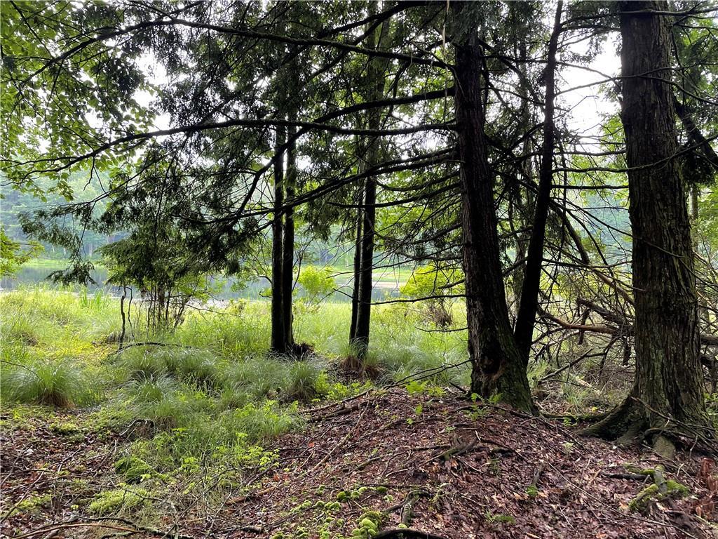 10.7 & 10.9 Cty Hwy 141 Horseshoe Lake RD, Bethel, NY 12720