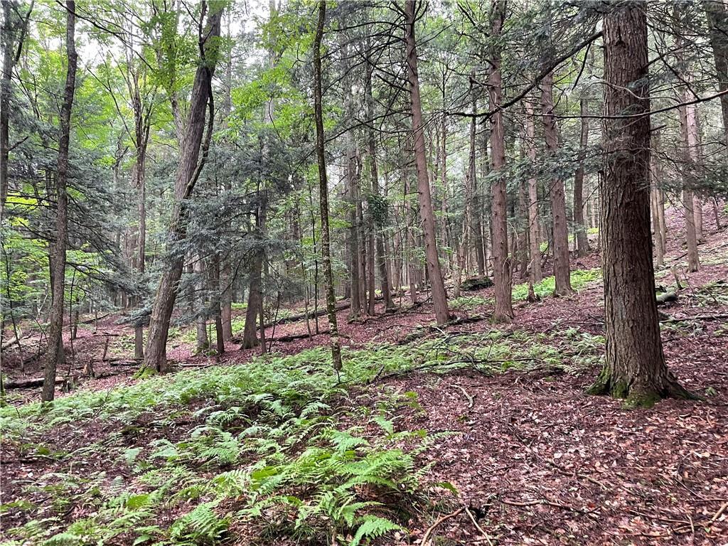 10.7 & 10.9 Cty Hwy 141 Horseshoe Lake RD, Bethel, NY 12720