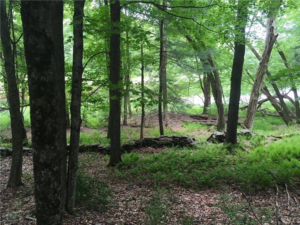 10.7 & 10.9 Cty Hwy 141 Horseshoe Lake RD, Bethel, NY 12720