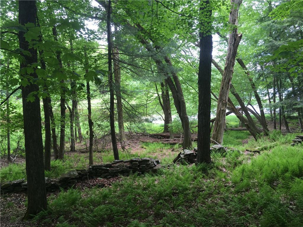 10.7 & 10.9 Cty Hwy 141 Horseshoe Lake RD, Bethel, NY 12720