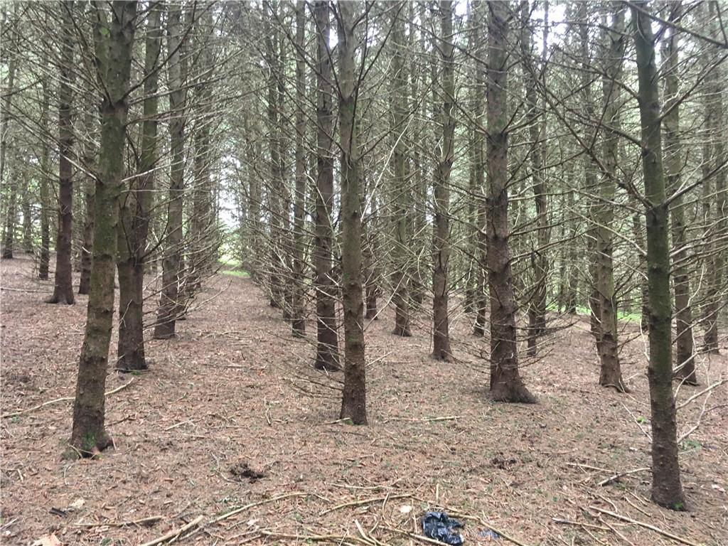 10.7 & 10.9 Cty Hwy 141 Horseshoe Lake RD, Bethel, NY 12720