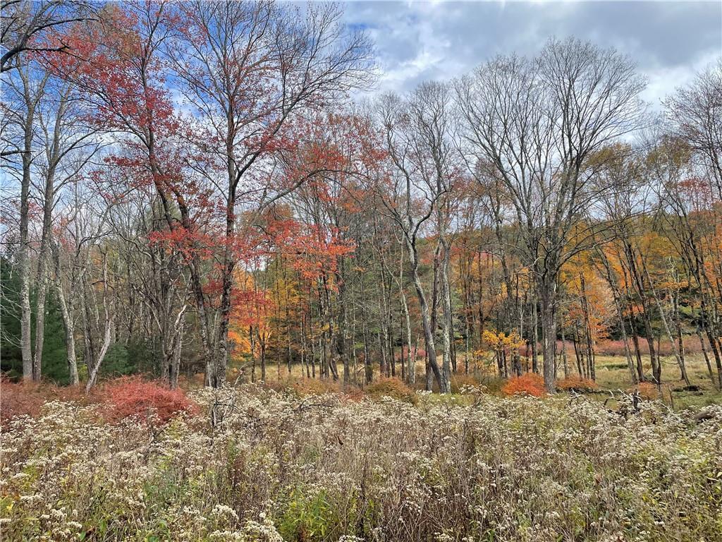 10.7 & 10.9 Cty Hwy 141 Horseshoe Lake RD, Bethel, NY 12720