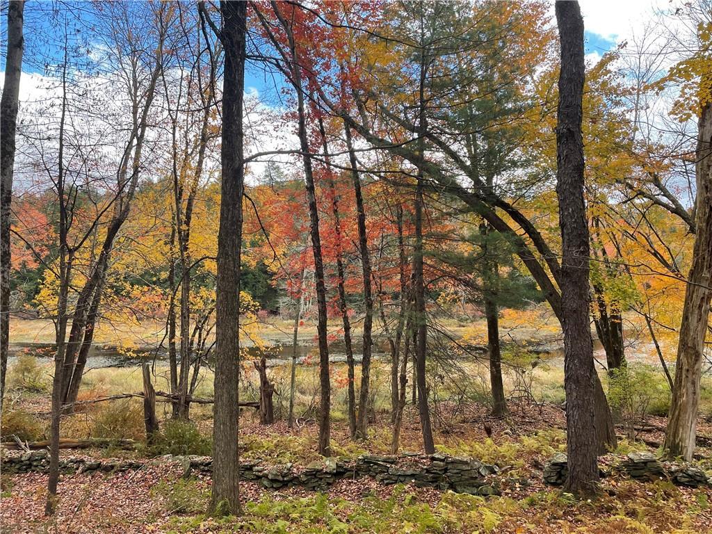 10.7 & 10.9 Cty Hwy 141 Horseshoe Lake RD, Bethel, NY 12720