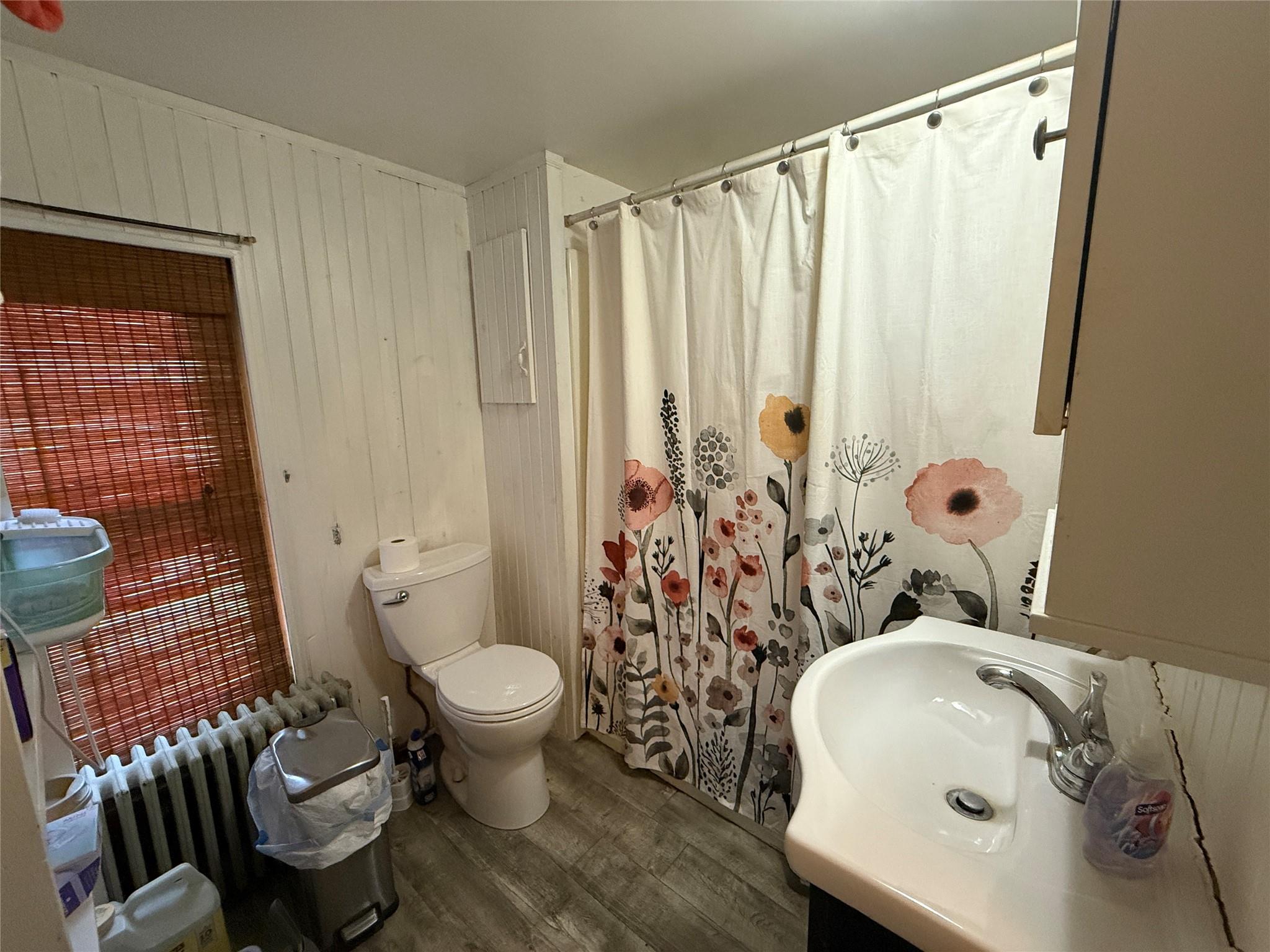 61 Cottage Street, Roscoe, NY 12776