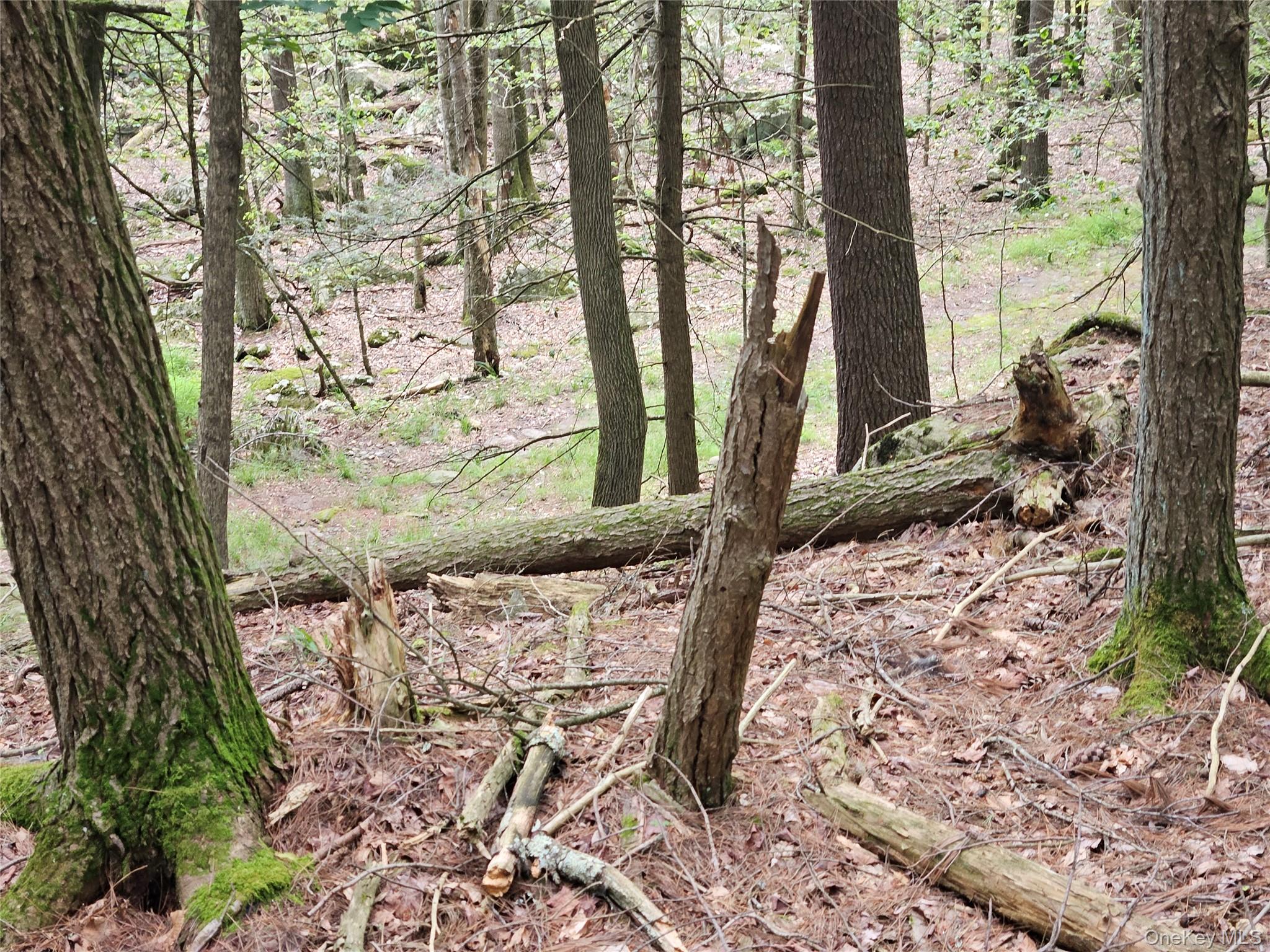 Highland Avenue, Smallwood, NY 12788