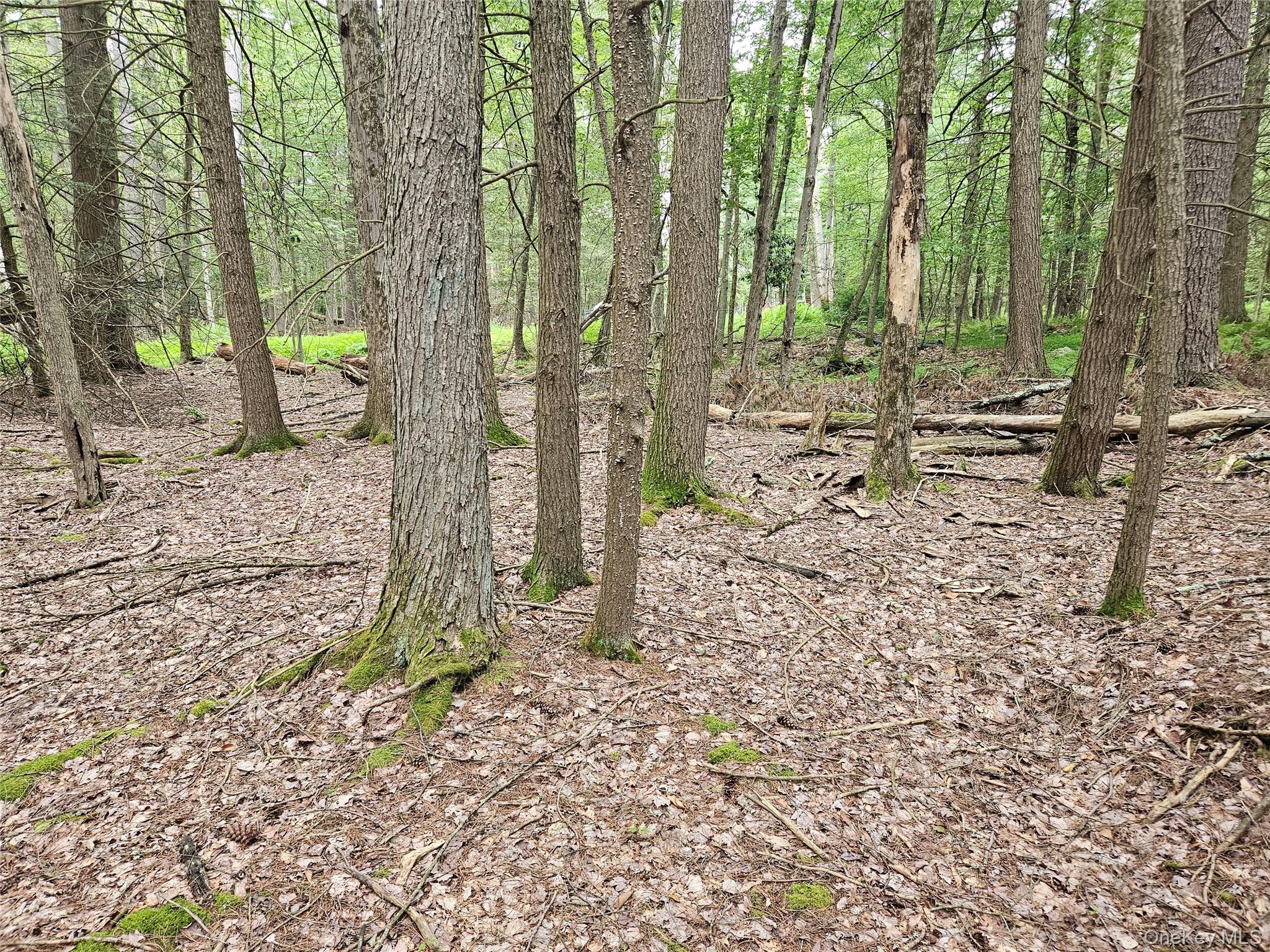 Highland Avenue, Smallwood, NY 12788