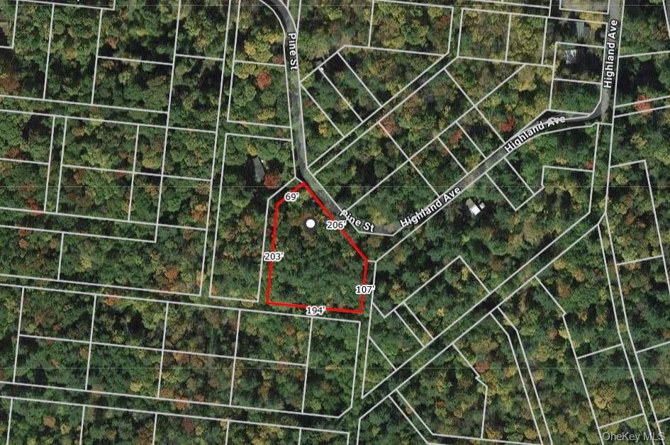 Highland Avenue, Smallwood, NY 12788