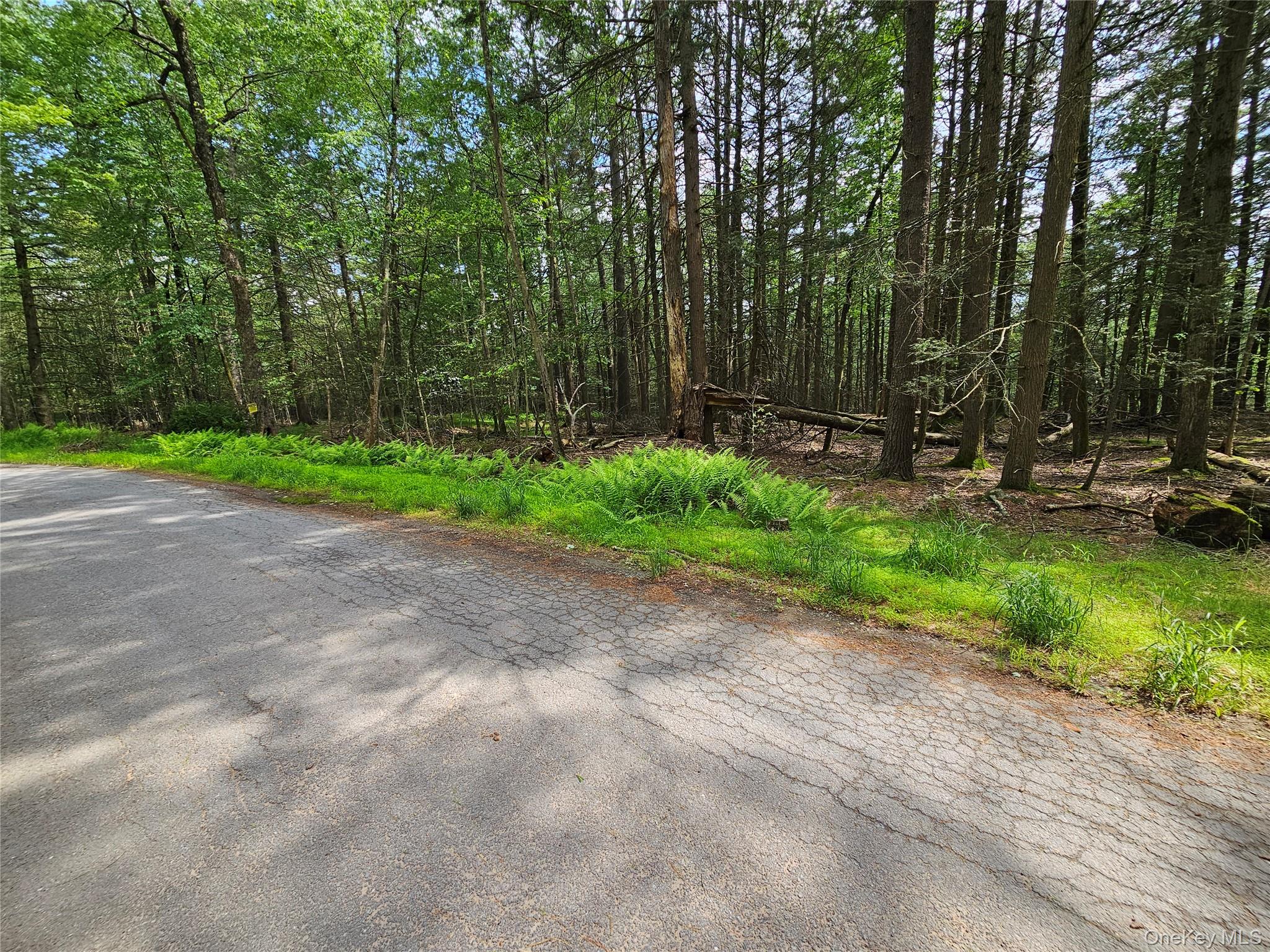 Highland Avenue, Smallwood, NY 12788