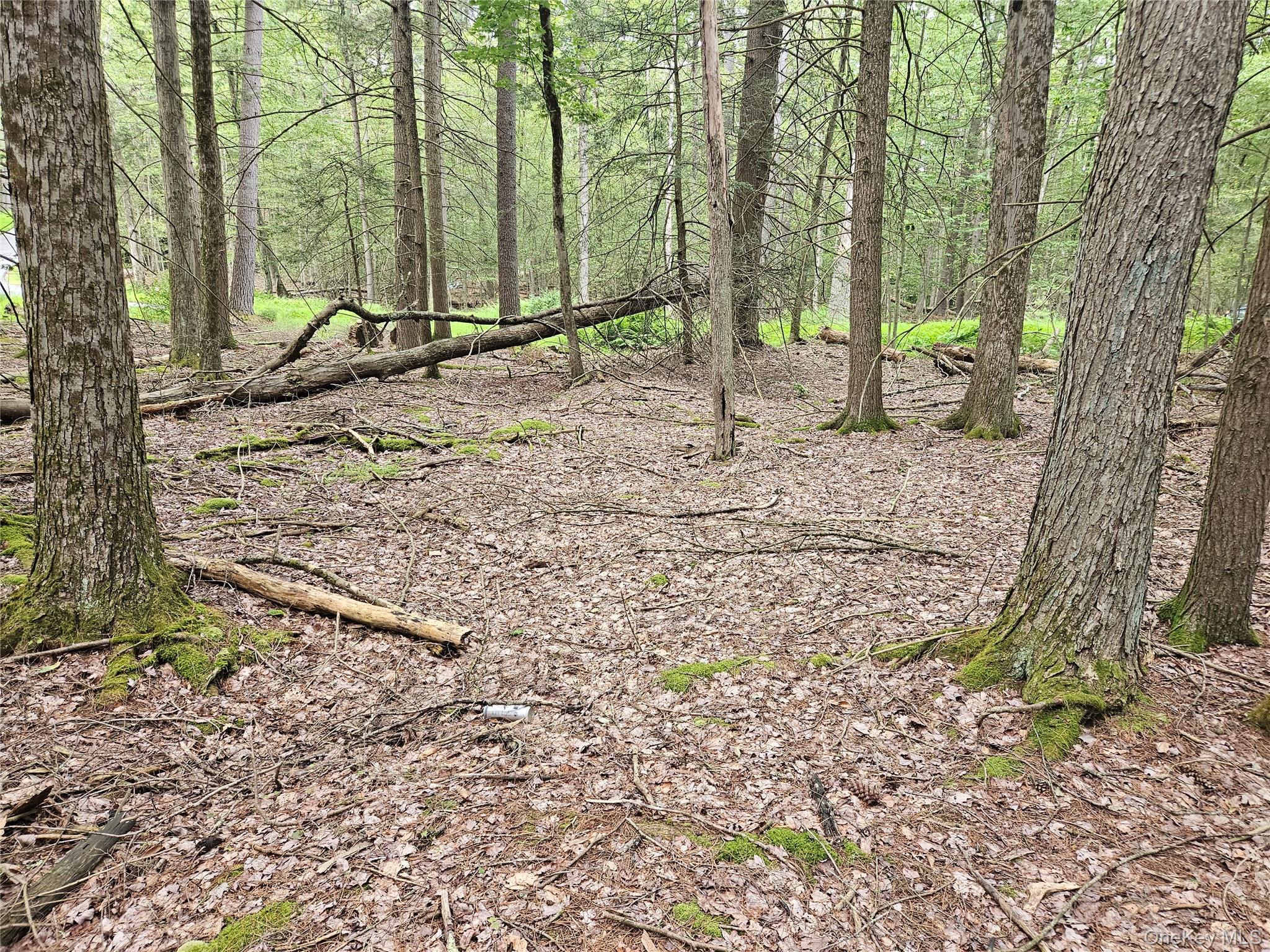 Highland Avenue, Smallwood, NY 12788