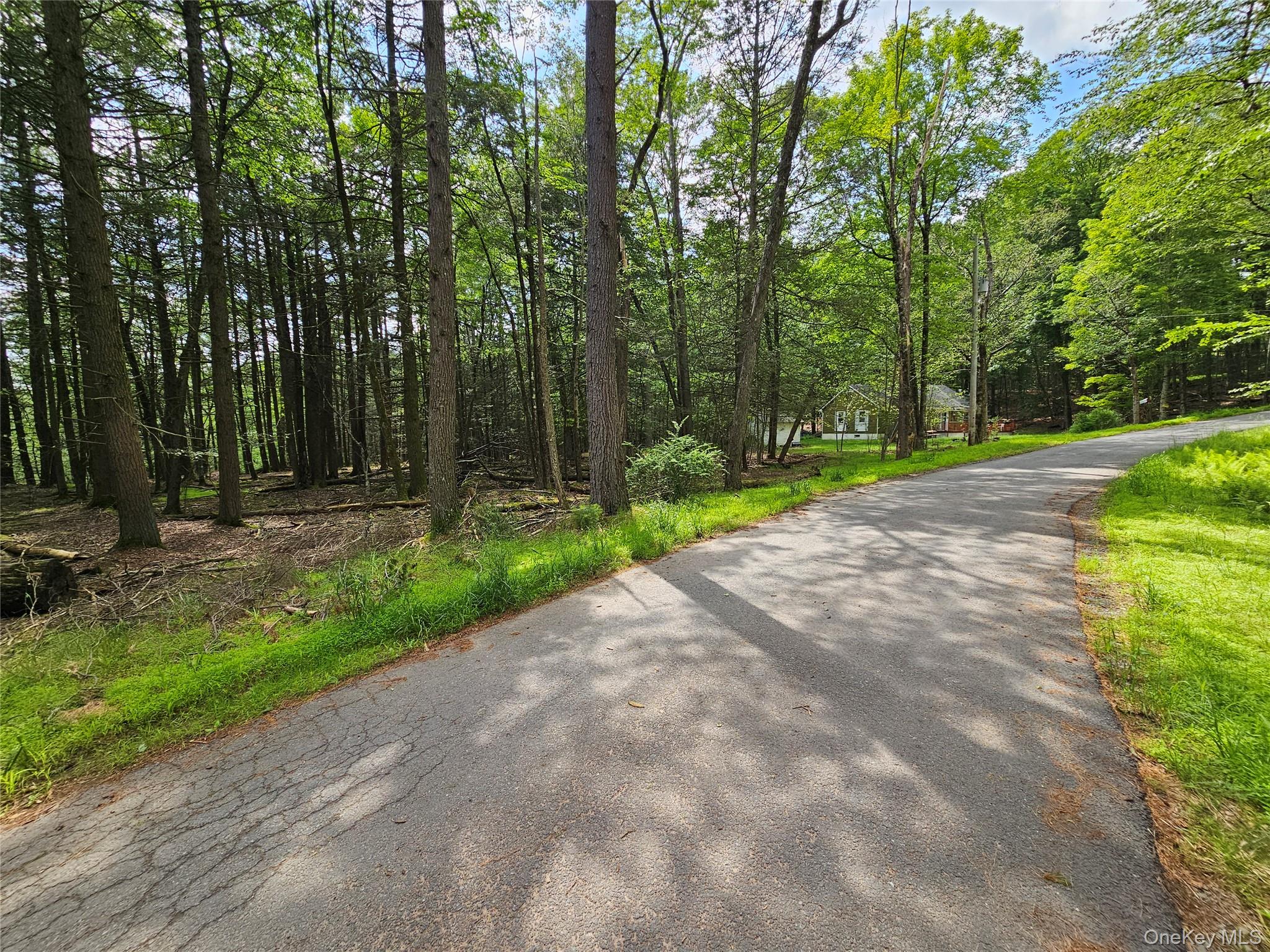 Highland Avenue, Smallwood, NY 12788