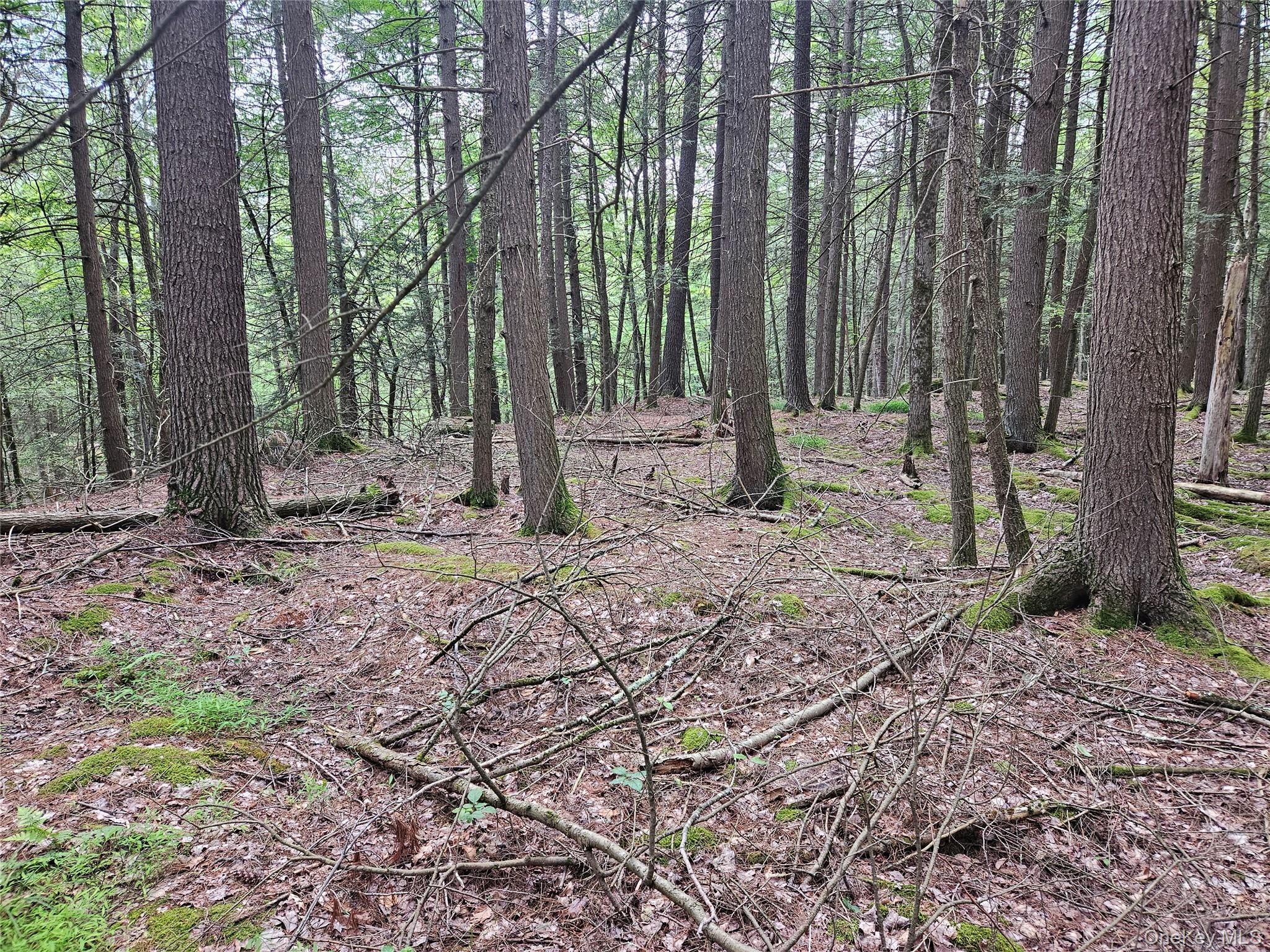 Highland Avenue, Smallwood, NY 12788