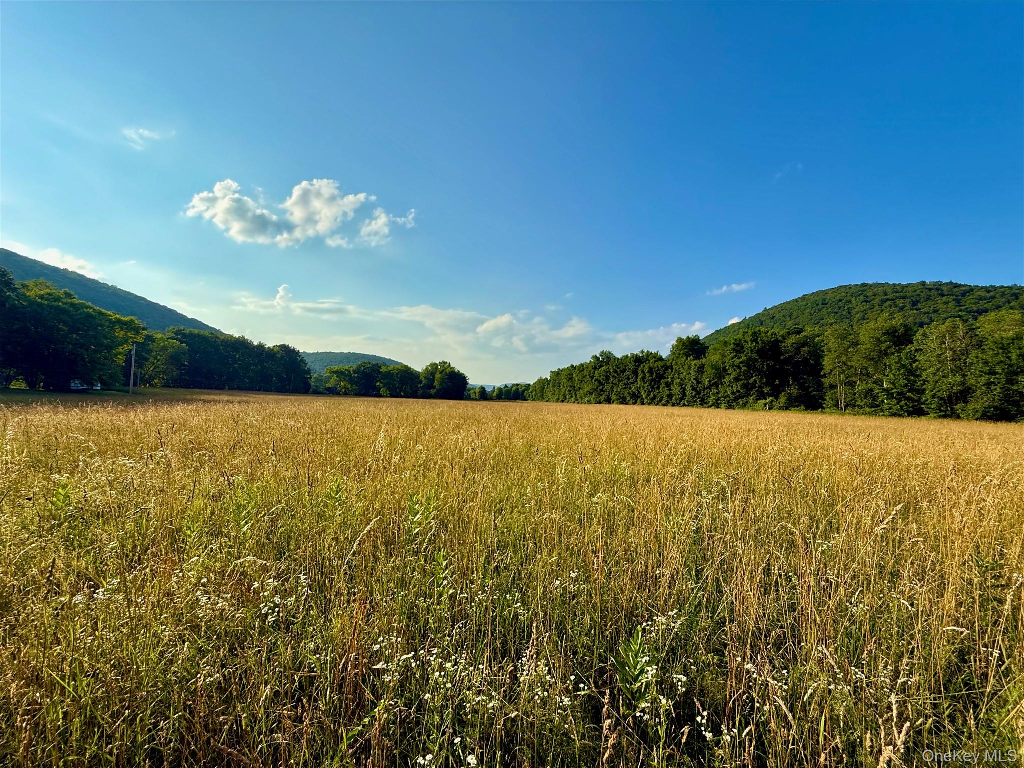 222 Stockport Road, Hancock, NY 13783