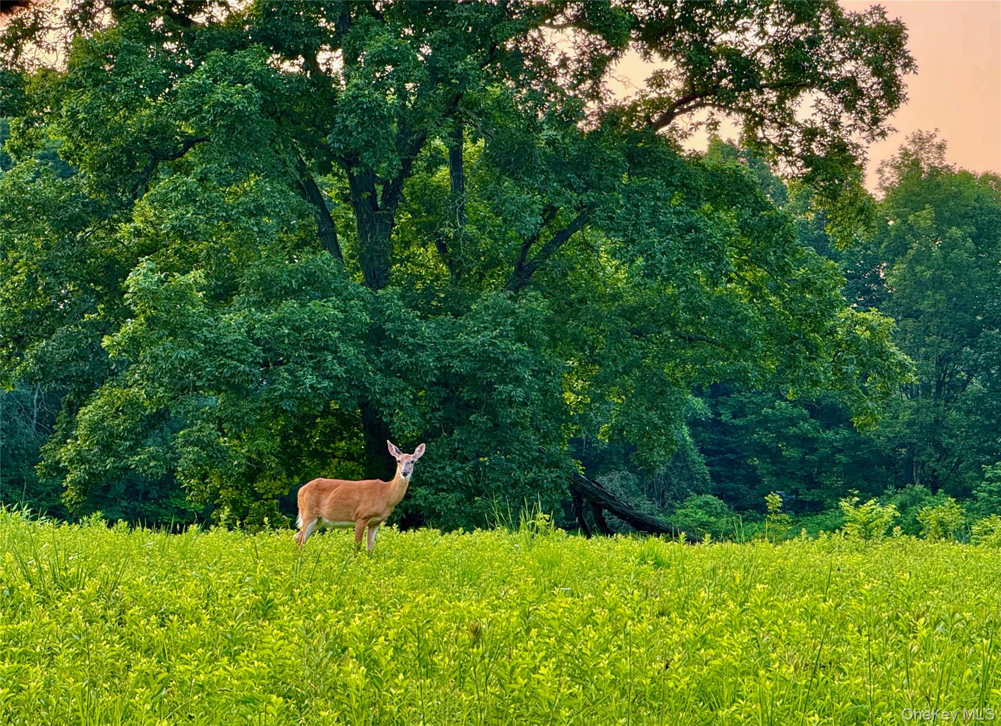 222 Stockport Road, Hancock, NY 13783