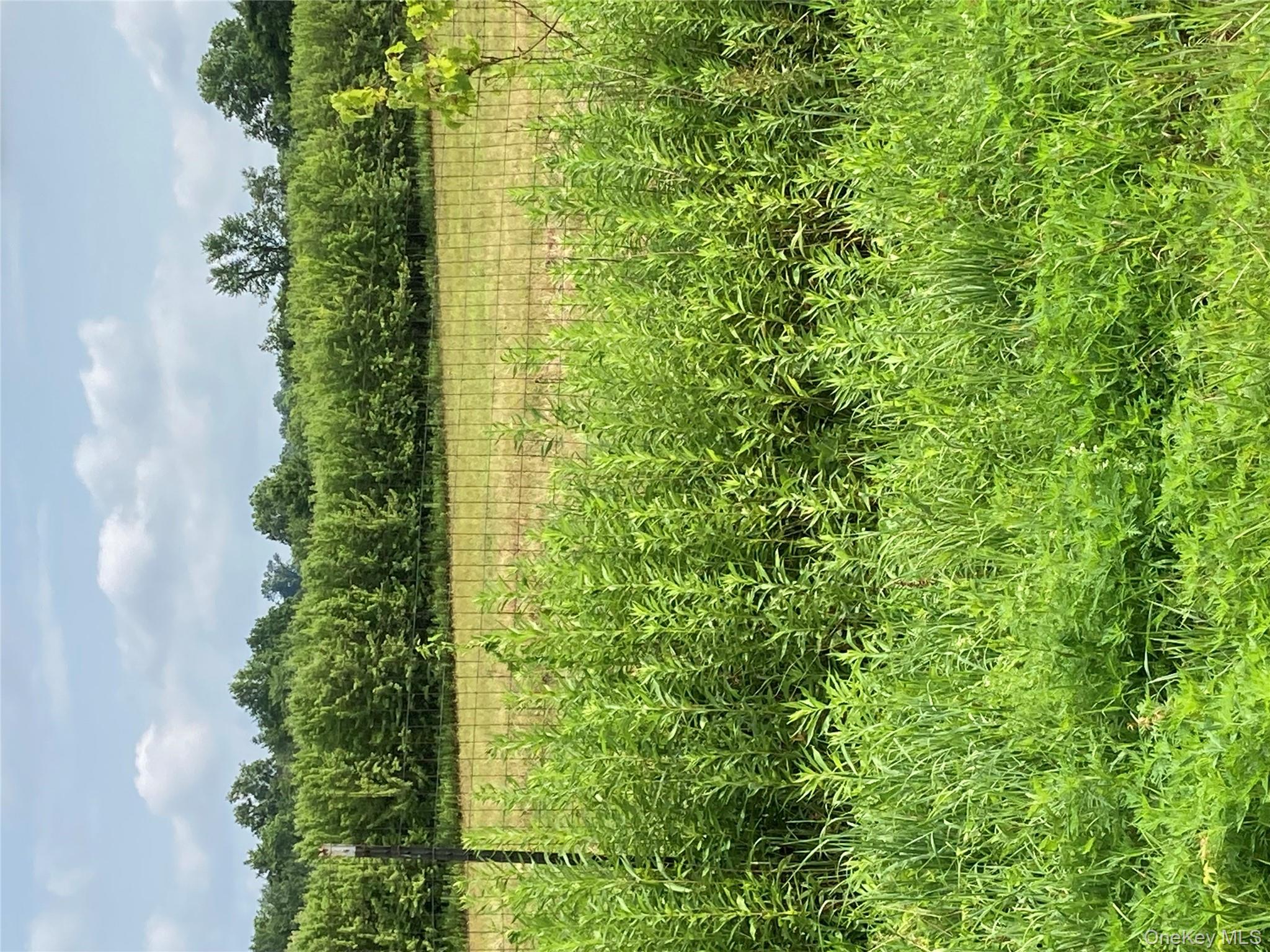 2660 State Route 208 # 2660, Montgomery, NY 12586