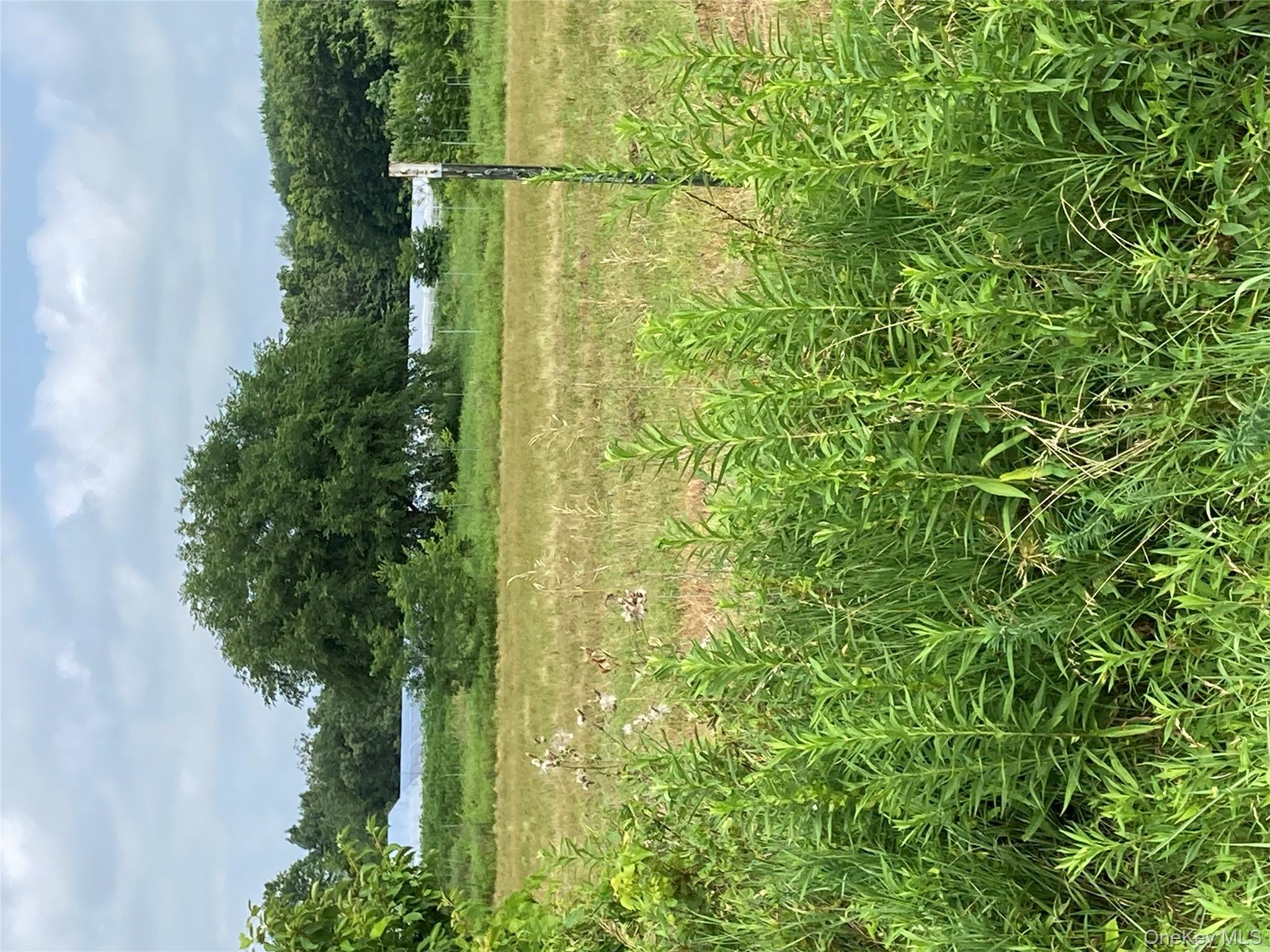 2660 State Route 208 # 2660, Montgomery, NY 12586