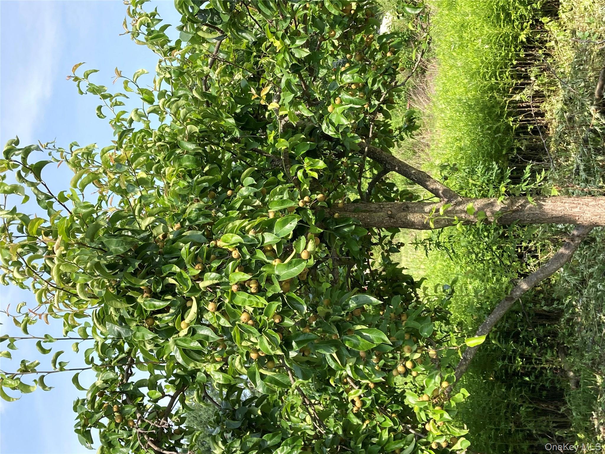 2660 State Route 208 # 2660, Montgomery, NY 12586