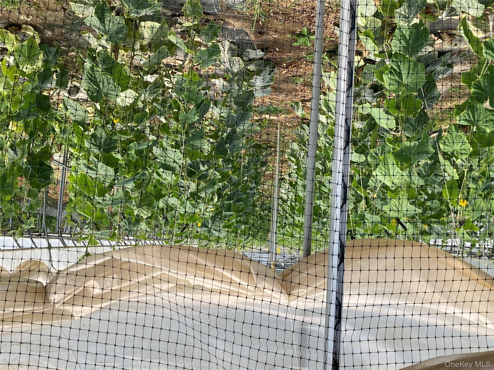 2660 State Route 208 # 2660, Montgomery, NY 12586