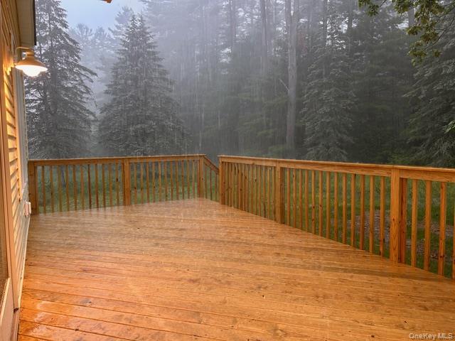 31 McCormick Road, Forestburgh, NY 12777