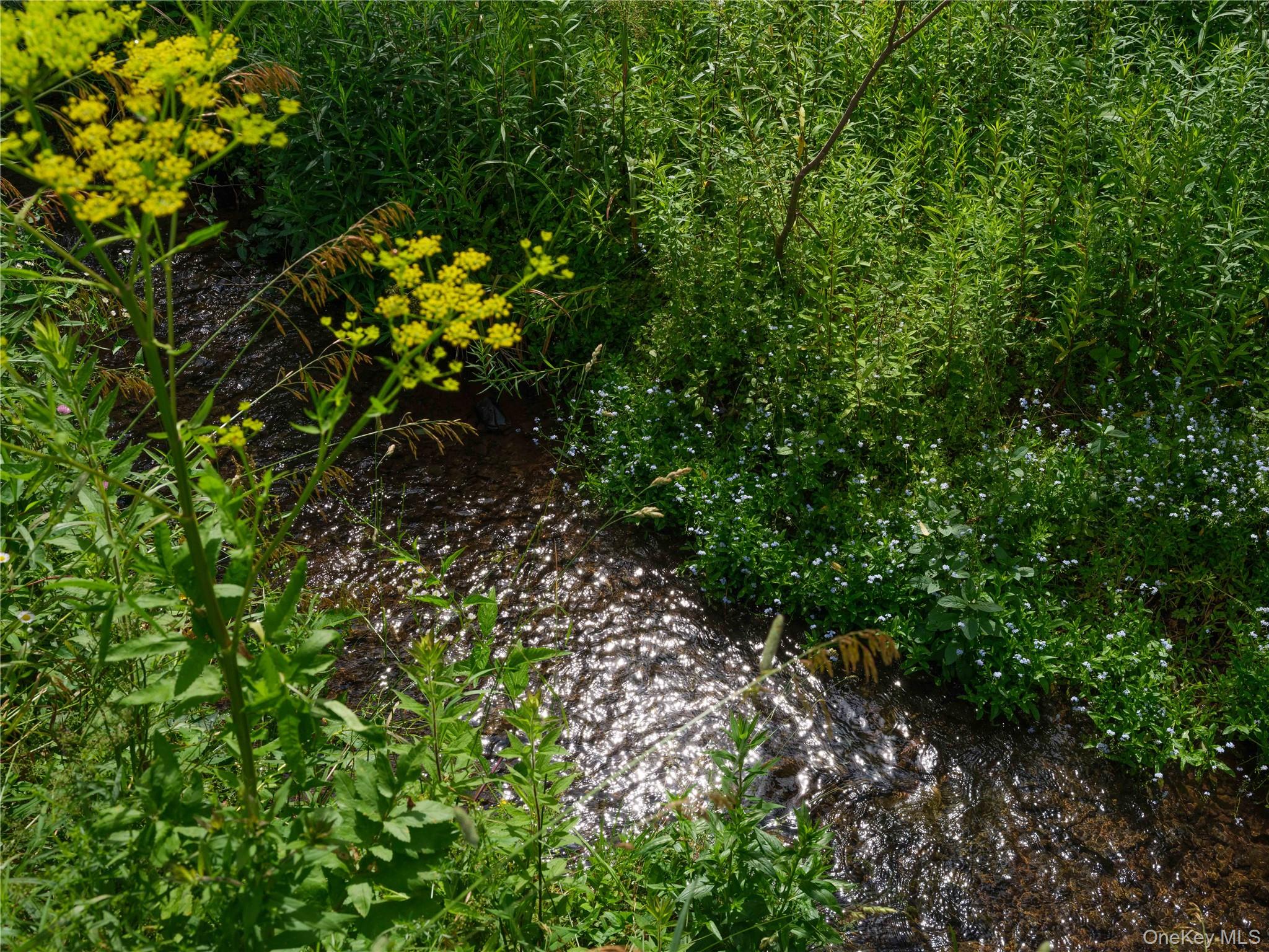 260 Gladstone Hlw Road, Andes, NY 13731