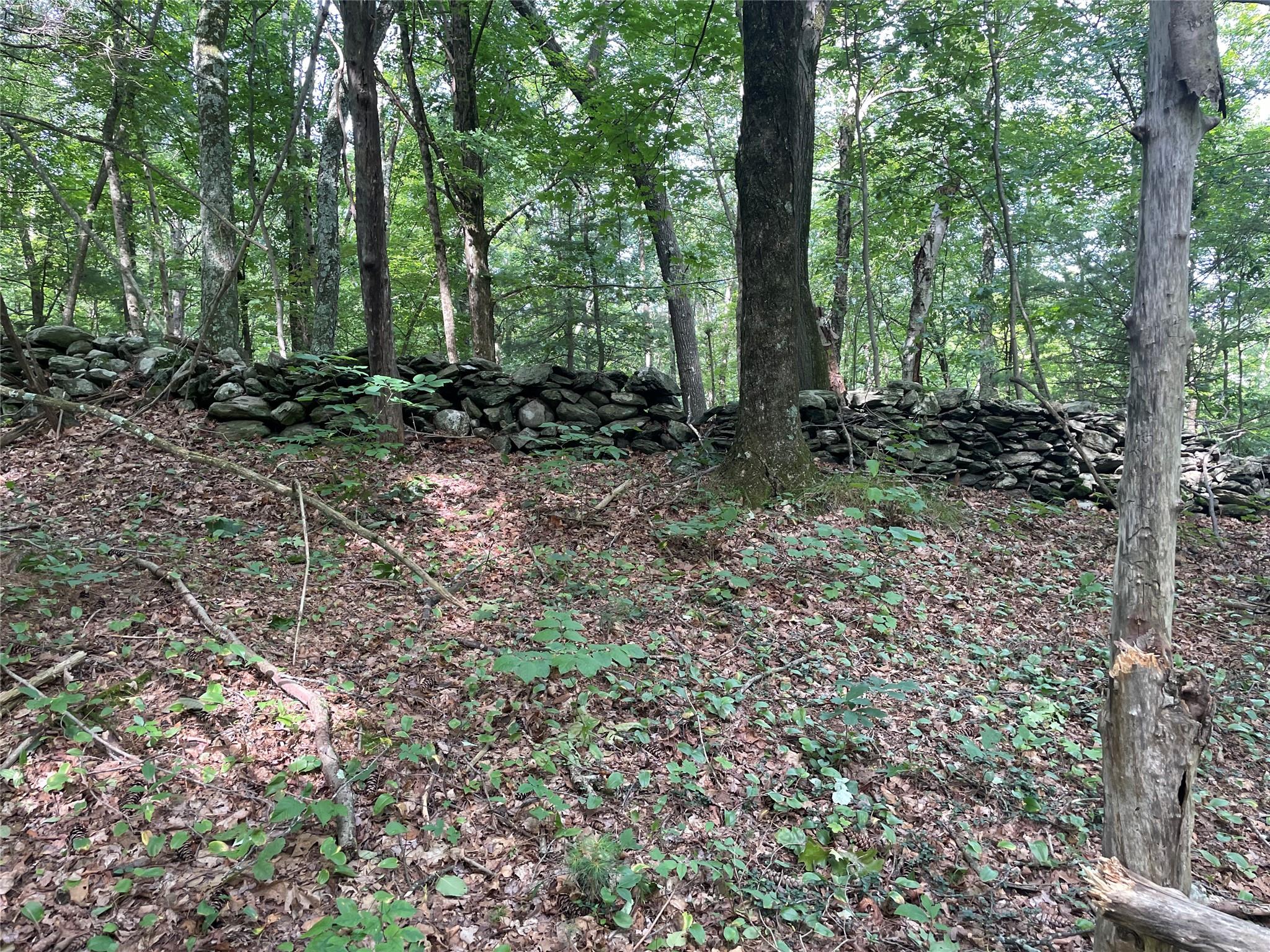 0 Fiddler's Bridge/Schoolhouse Rd, Clinton Corners, NY