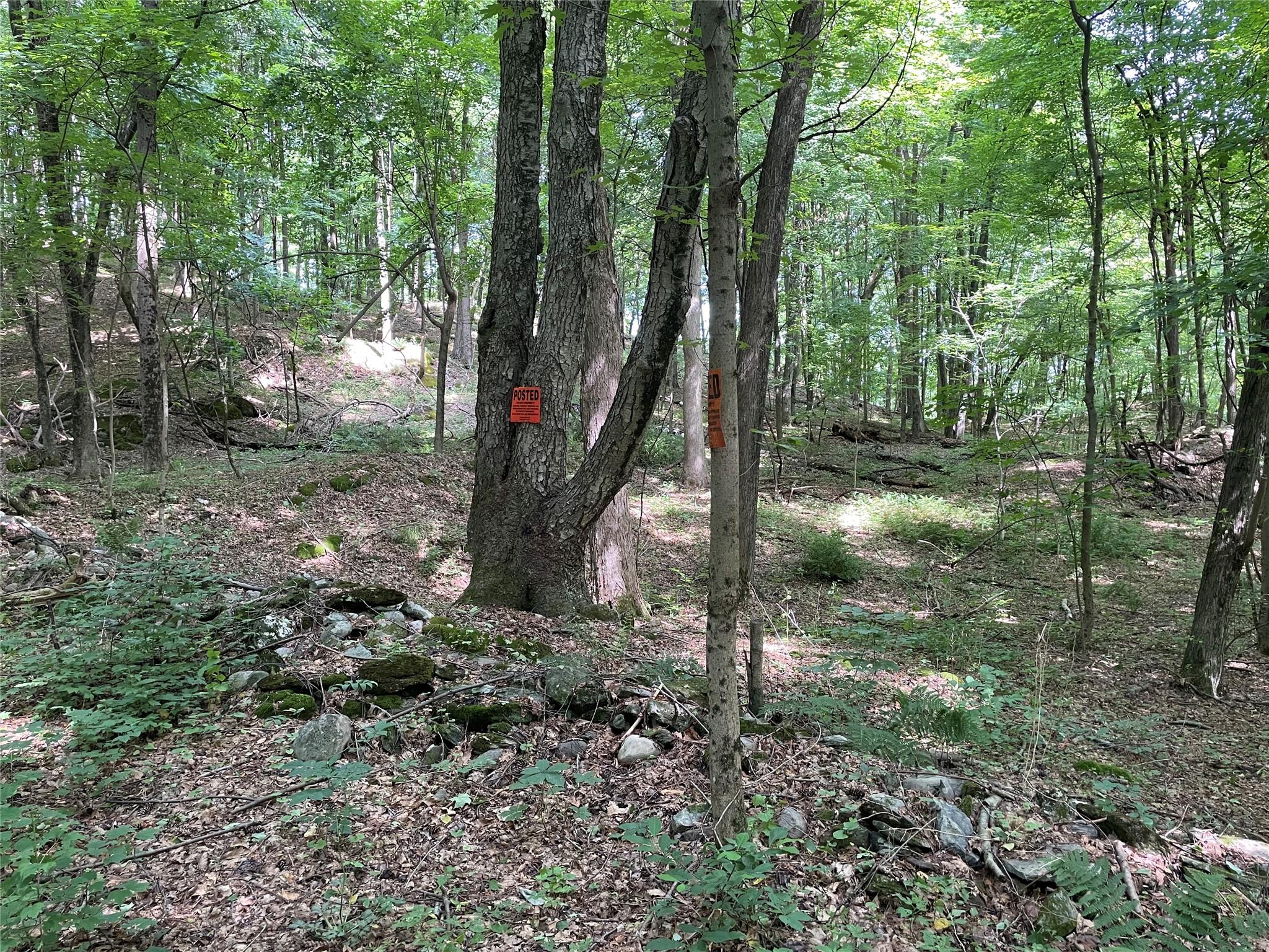 0 Fiddler's Bridge/Schoolhouse Rd, Clinton Corners, NY