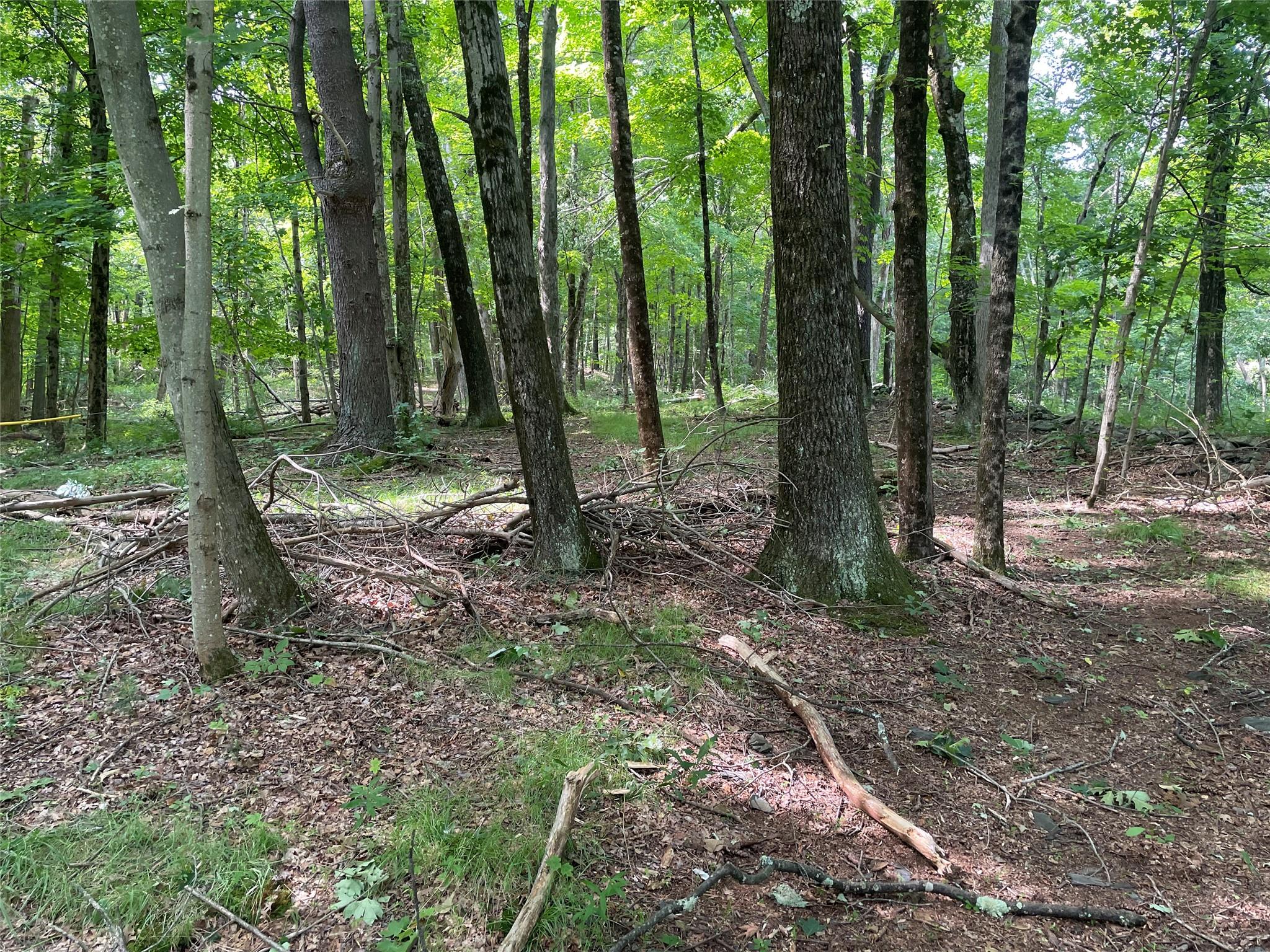0 Fiddler's Bridge/Schoolhouse Rd, Clinton Corners, NY
