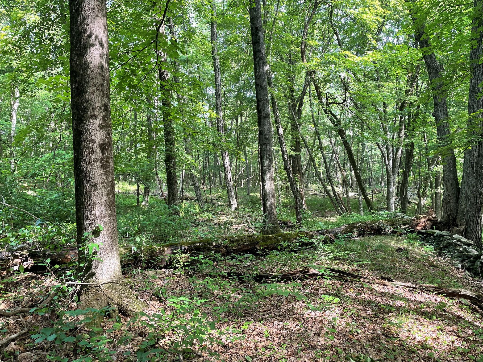 0 Fiddler's Bridge/Schoolhouse Rd, Clinton Corners, NY