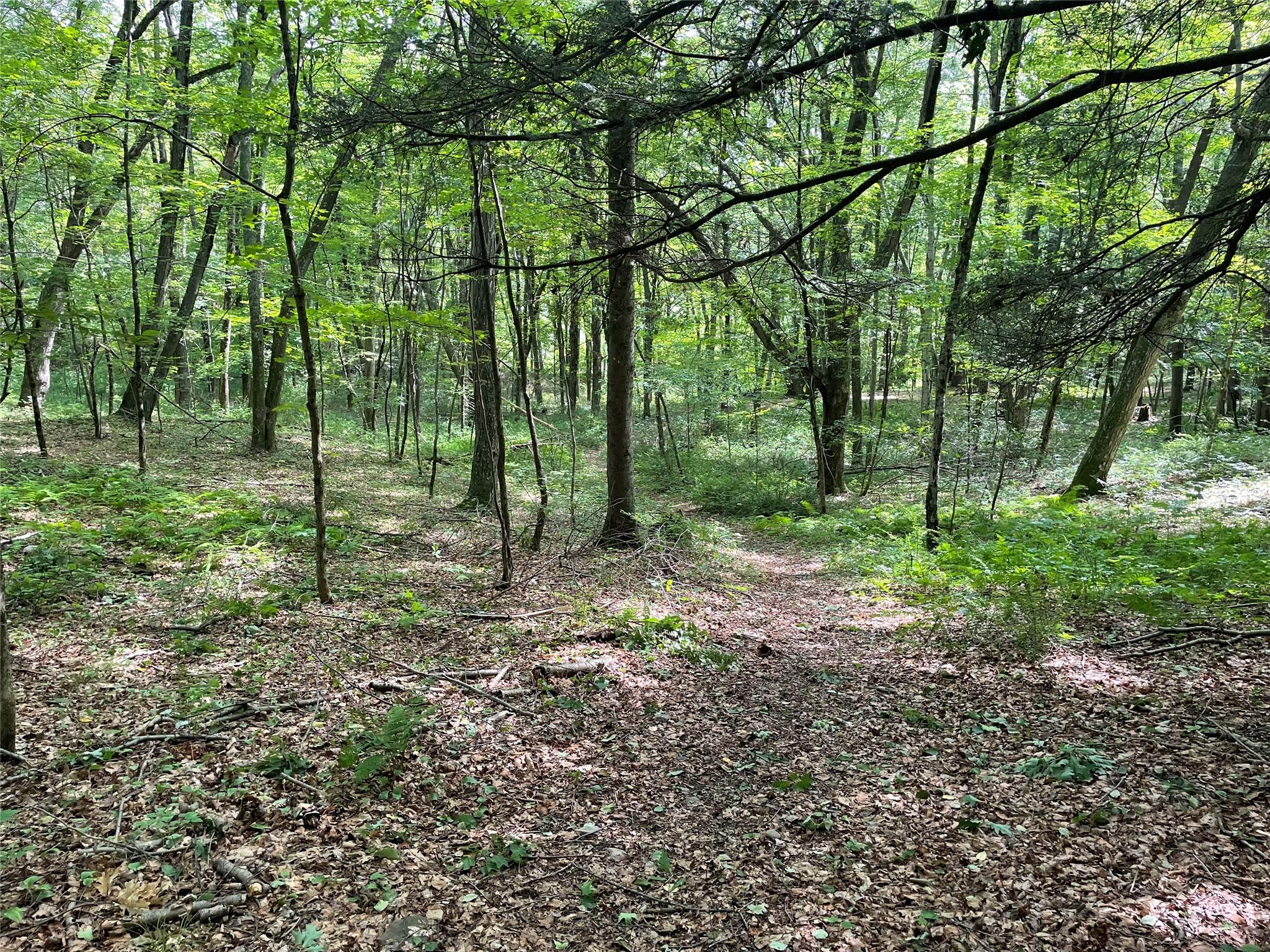 0 Fiddler's Bridge/Schoolhouse Rd, Clinton Corners, NY
