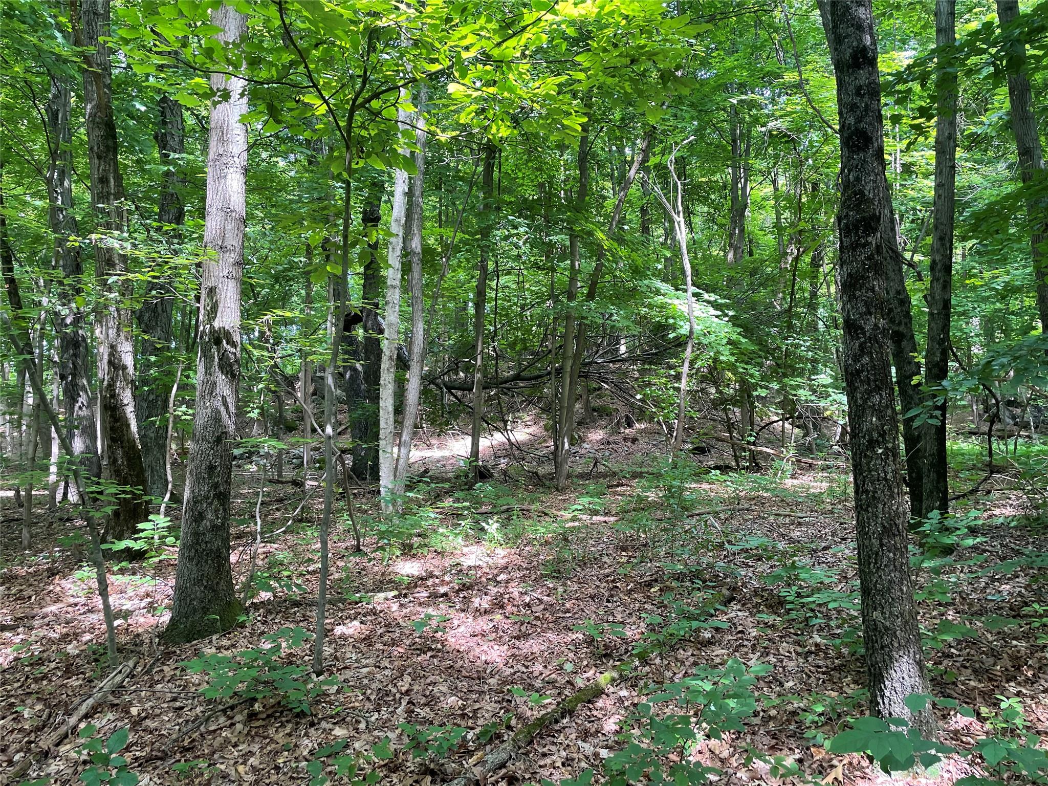 0 Fiddler's Bridge/Schoolhouse Rd, Clinton Corners, NY