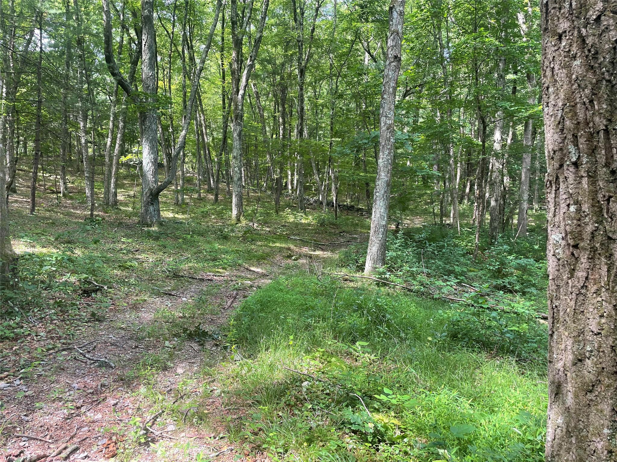 0 Fiddler's Bridge/Schoolhouse Rd, Clinton Corners, NY