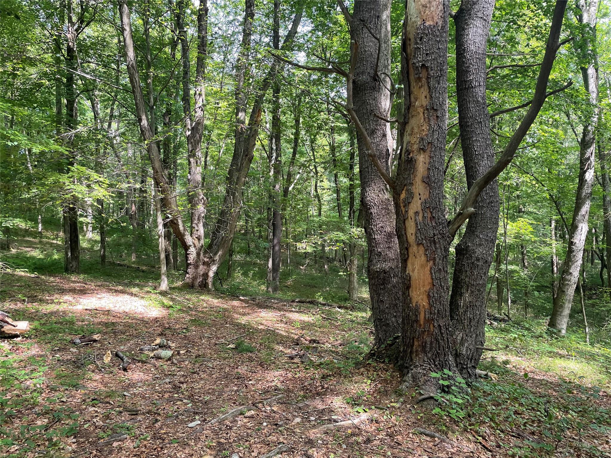 0 Fiddler's Bridge/Schoolhouse Rd, Clinton Corners, NY