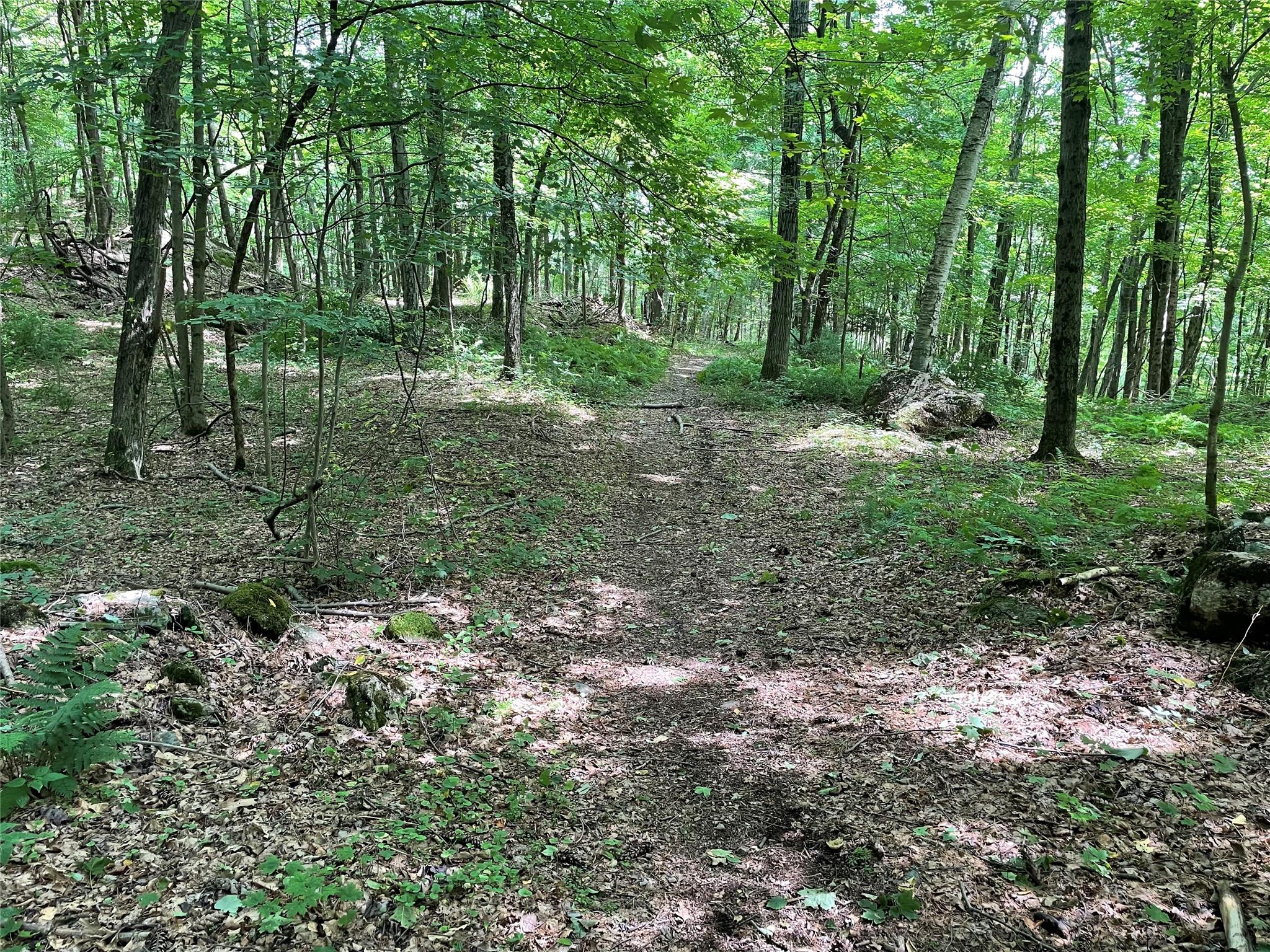 0 Fiddler's Bridge/Schoolhouse Rd, Clinton Corners, NY