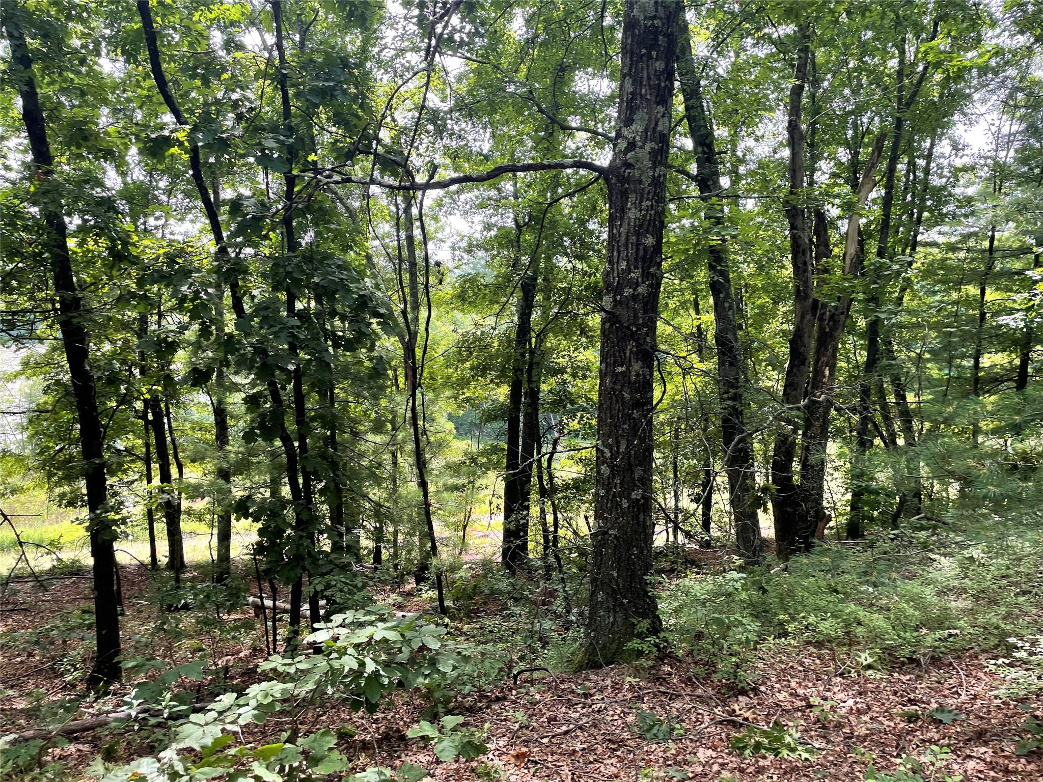 0 Fiddler's Bridge/Schoolhouse Rd, Clinton Corners, NY