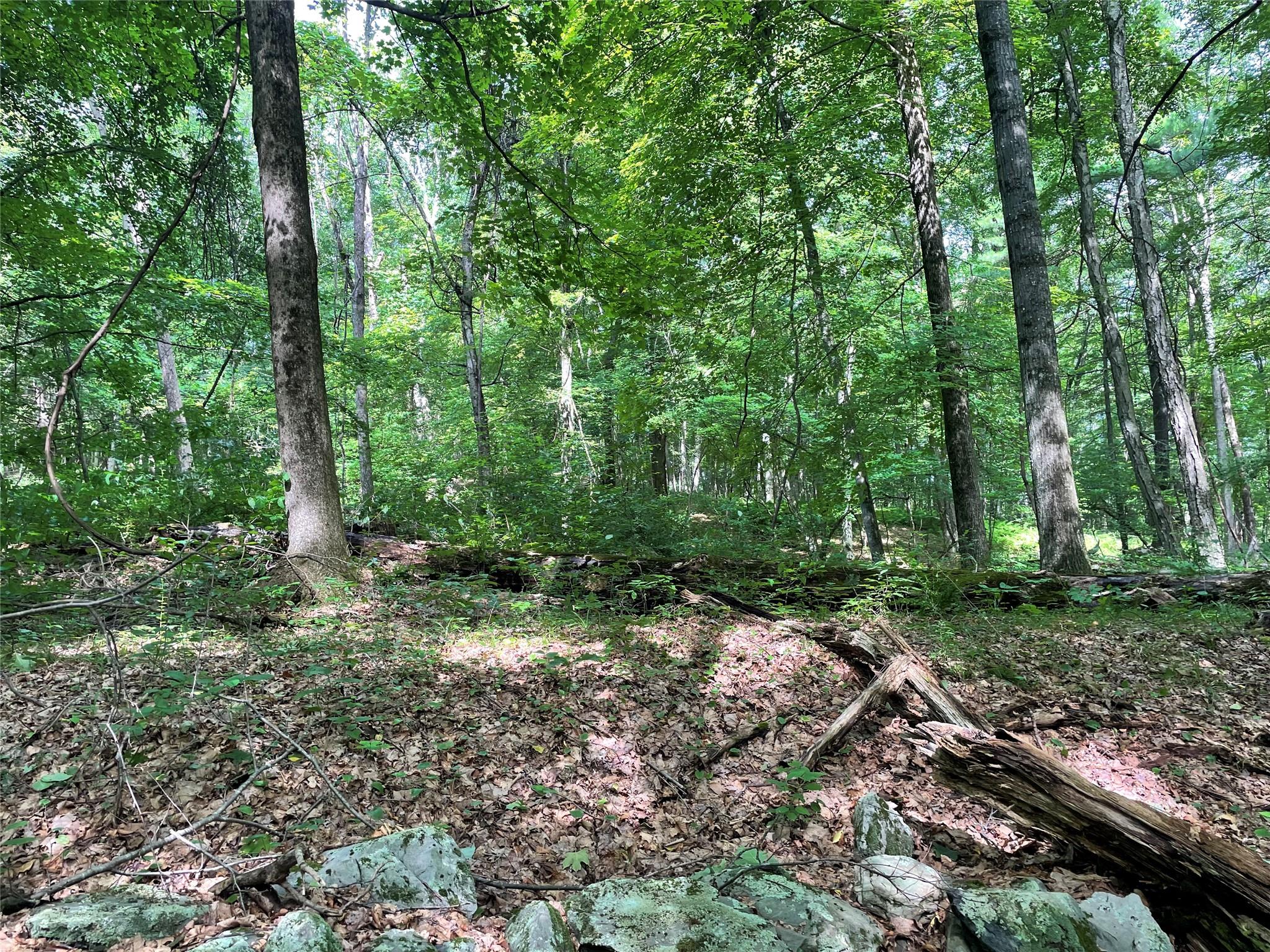 0 Fiddler's Bridge/Schoolhouse Rd, Clinton Corners, NY