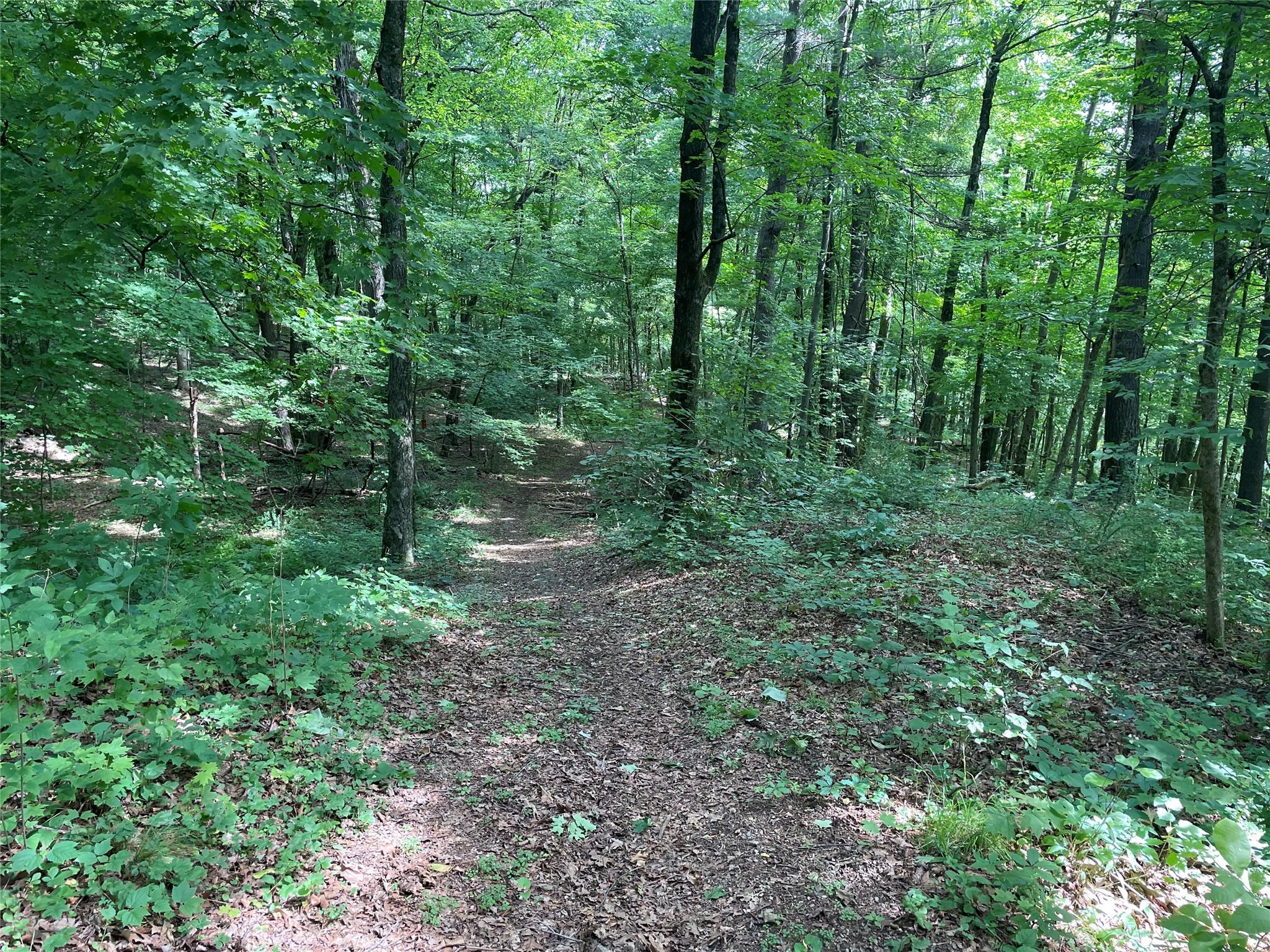 0 Fiddler's Bridge/Schoolhouse Rd, Clinton Corners, NY