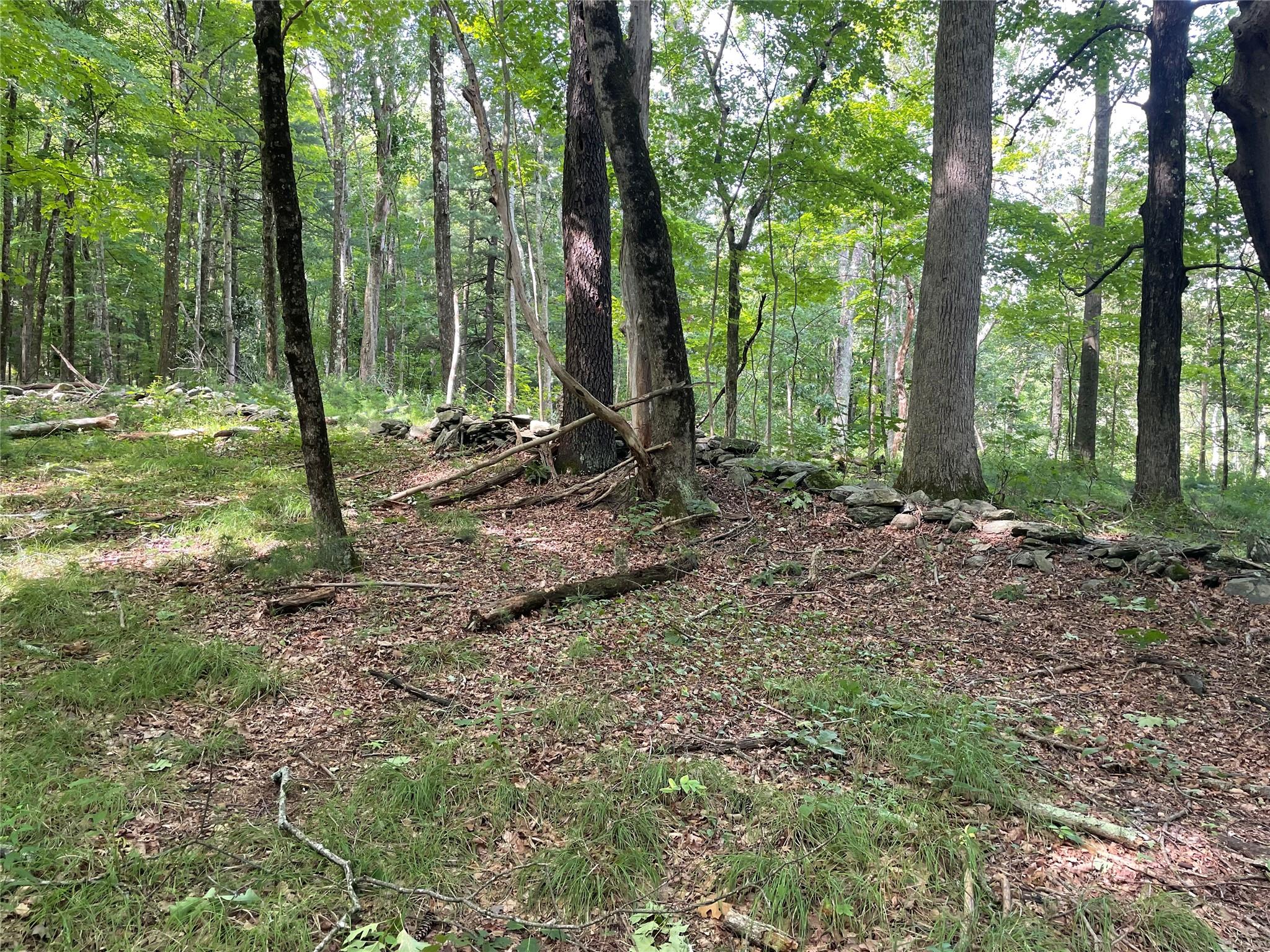 0 Fiddler's Bridge/Schoolhouse Rd, Clinton Corners, NY