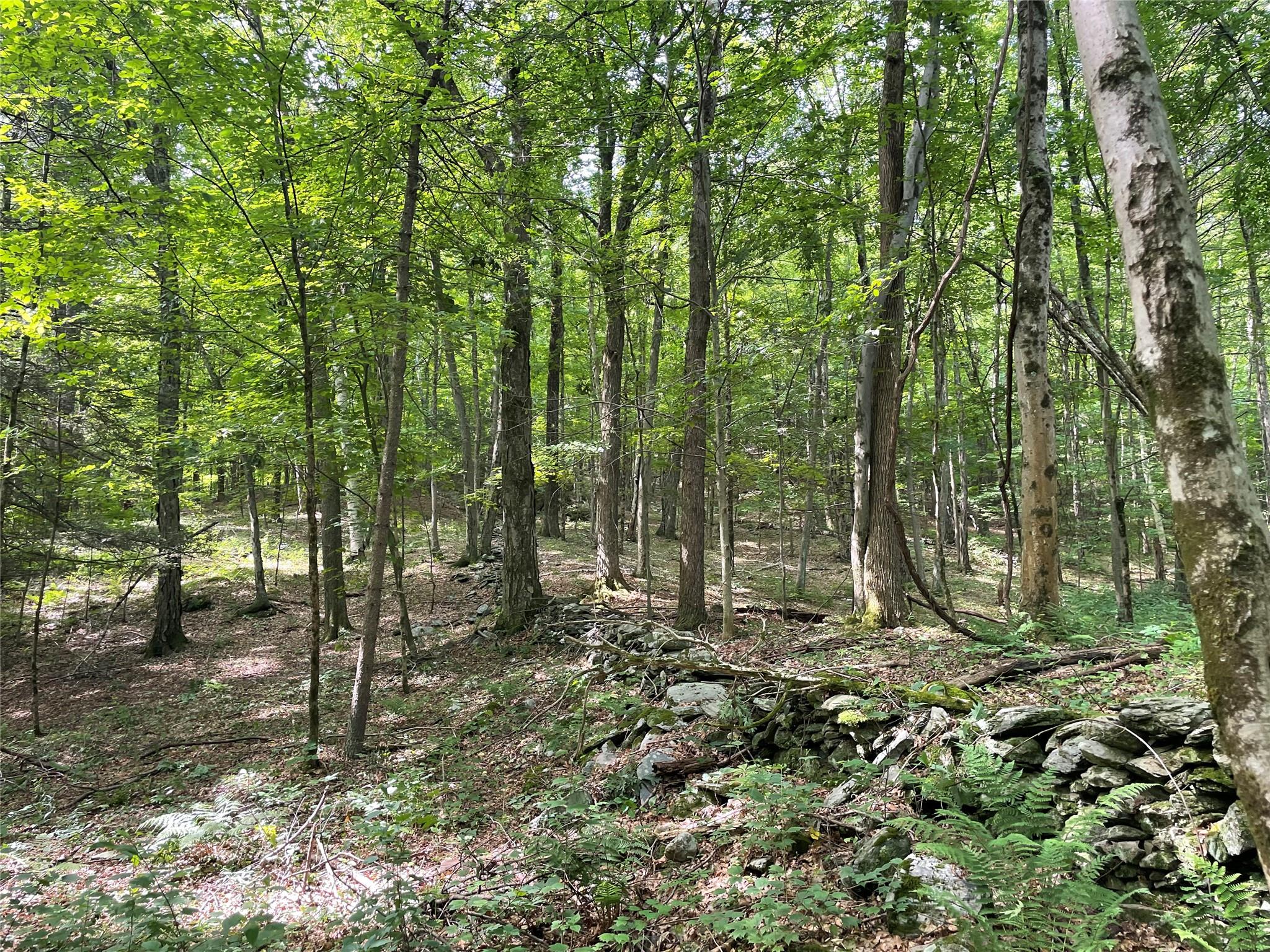 0 Fiddler's Bridge/Schoolhouse Rd, Clinton Corners, NY