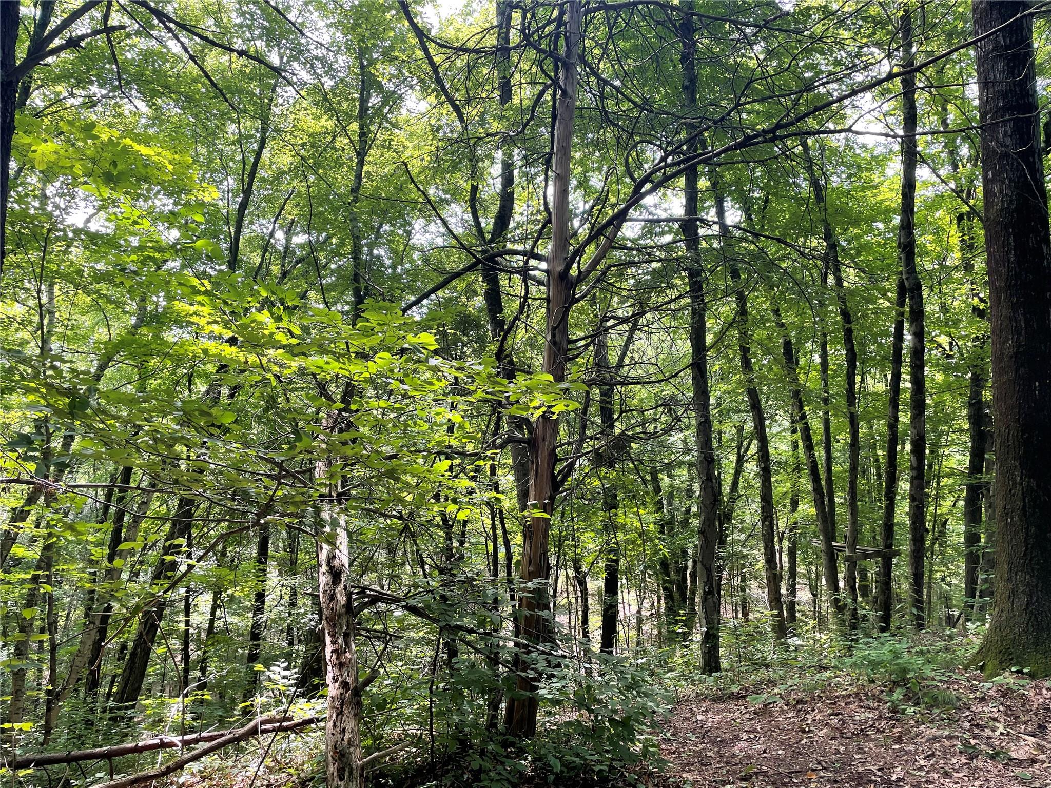 0 Fiddler's Bridge/Schoolhouse Rd, Clinton Corners, NY