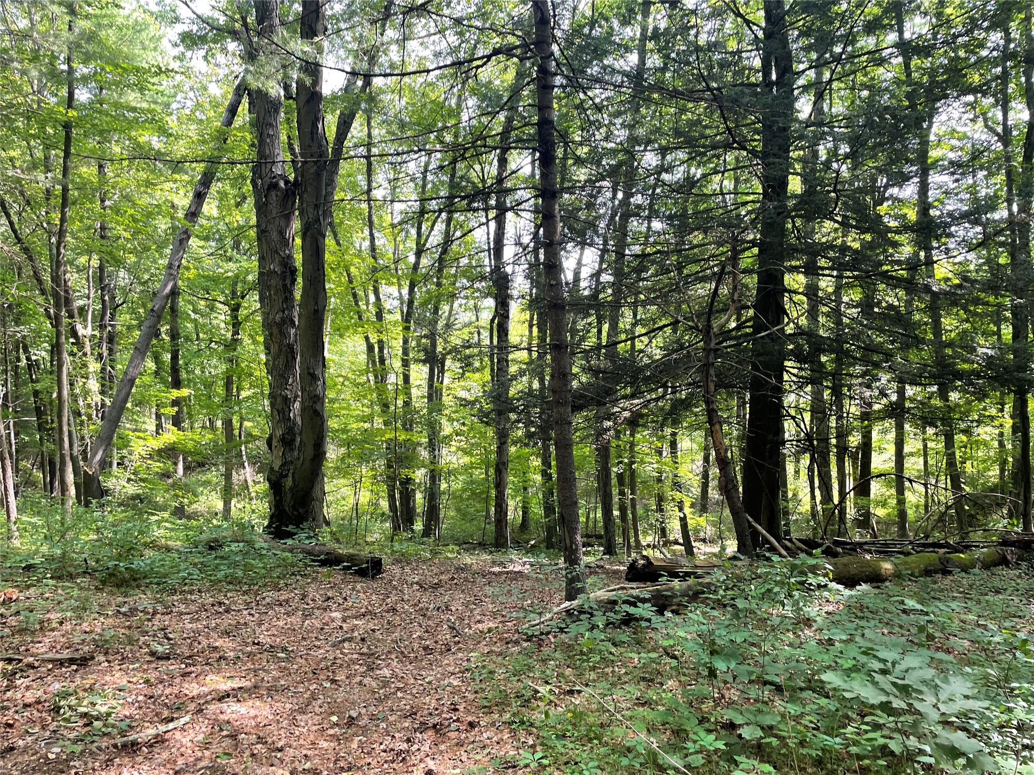 0 Fiddler's Bridge/Schoolhouse Rd, Clinton Corners, NY