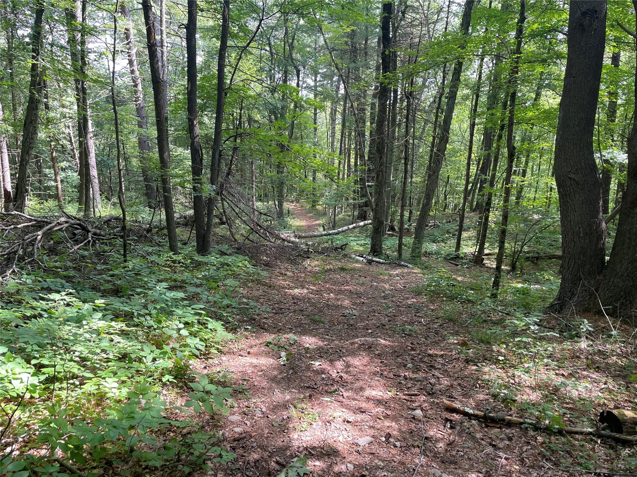 0 Fiddler's Bridge/Schoolhouse Rd, Clinton Corners, NY