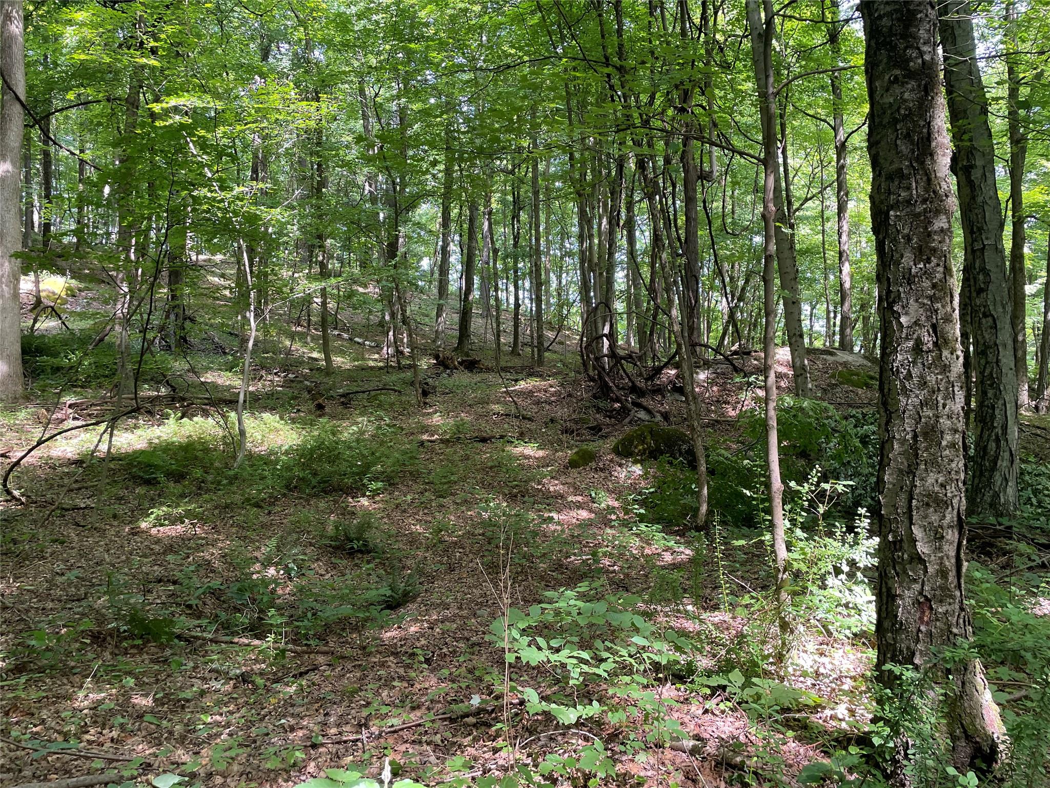 0 Fiddler's Bridge/Schoolhouse Rd, Clinton Corners, NY